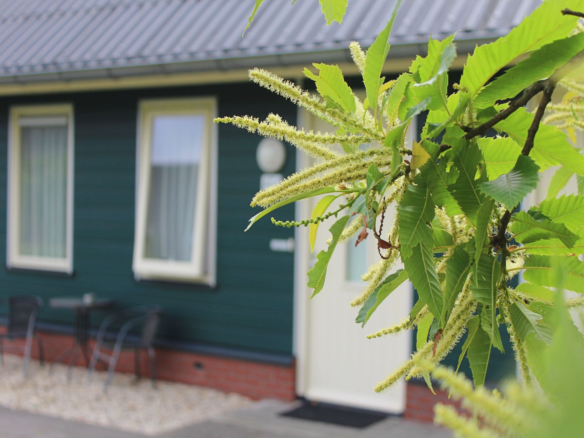 De buitenkant van Vakantiepark Horsetellerie 4 in Hardenberg (rheezerveen)