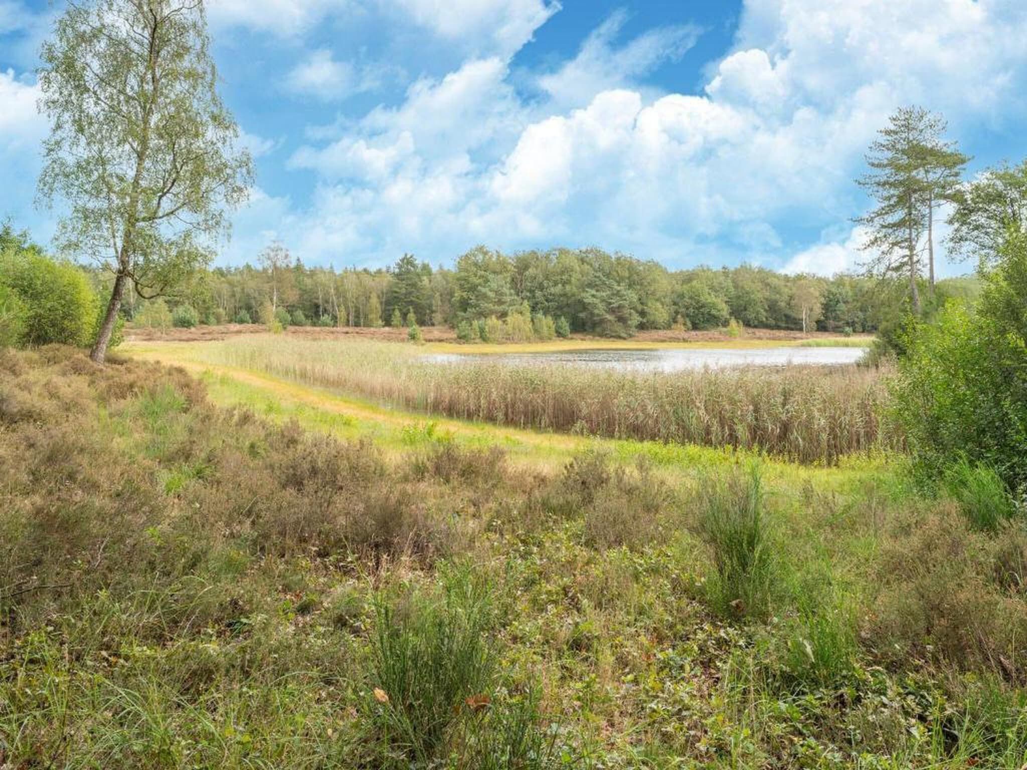 Vakantiepark Horsetellerie 4 in Hardenberg (rheezerveen) - Foto 30 van 40