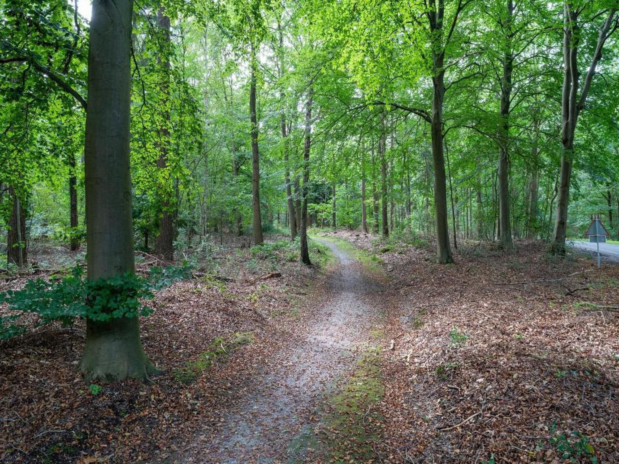 Vakantiepark Horsetellerie 4 in Hardenberg (rheezerveen) - Foto 28 van 40