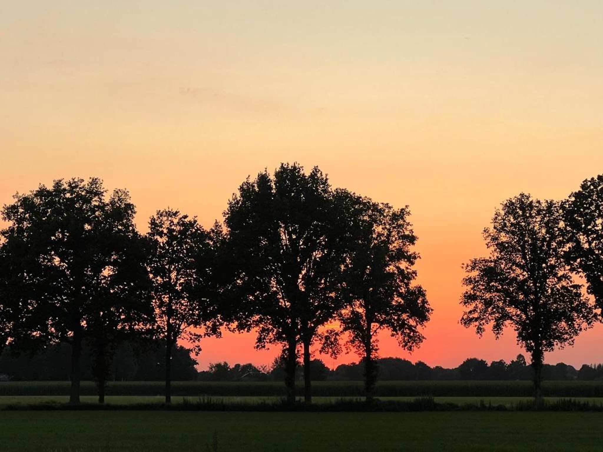 Vakantiepark Horsetellerie 4 in Hardenberg (rheezerveen) - Foto 31 van 40