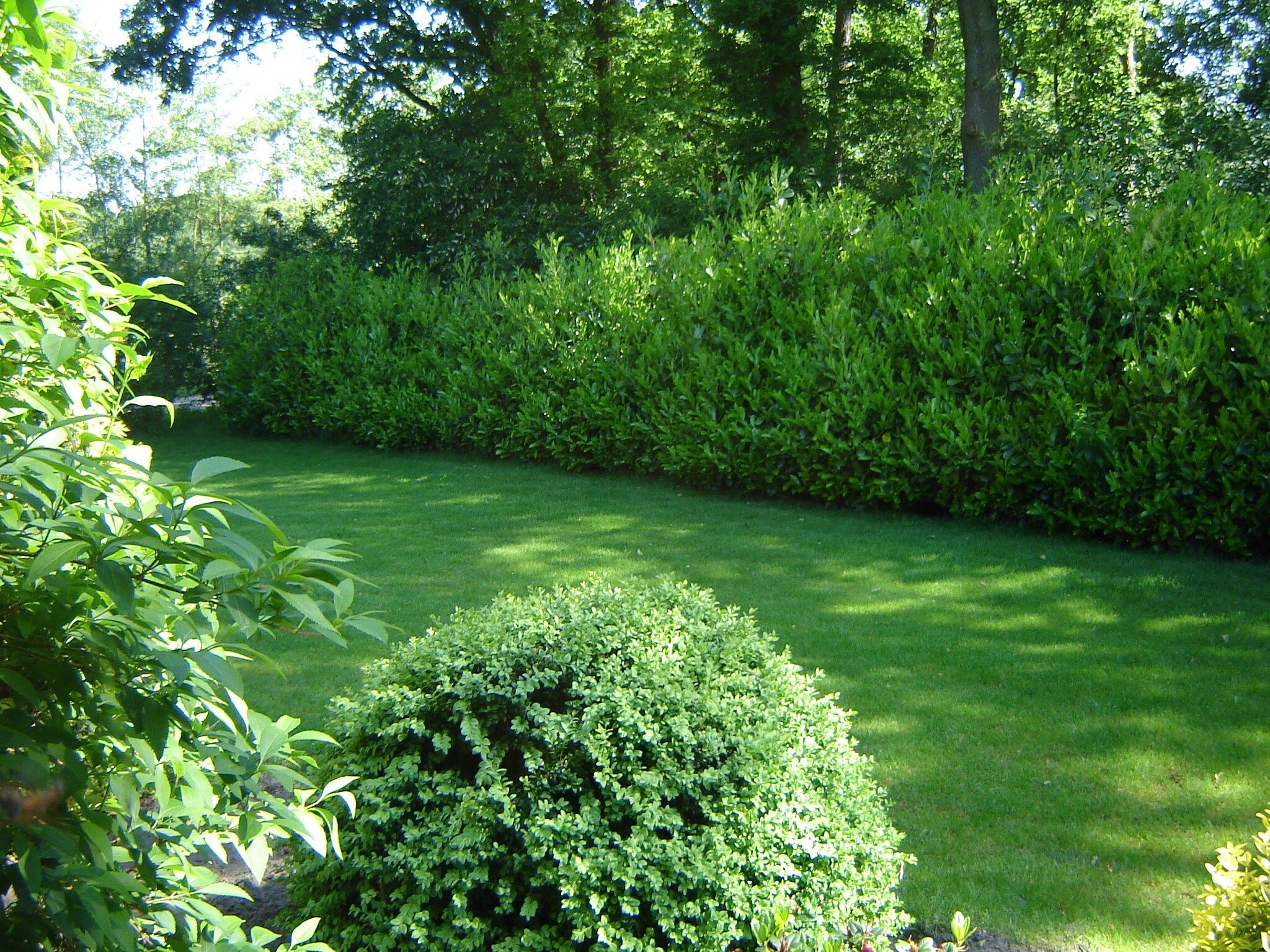 De tuin van de Lansert in Vessem