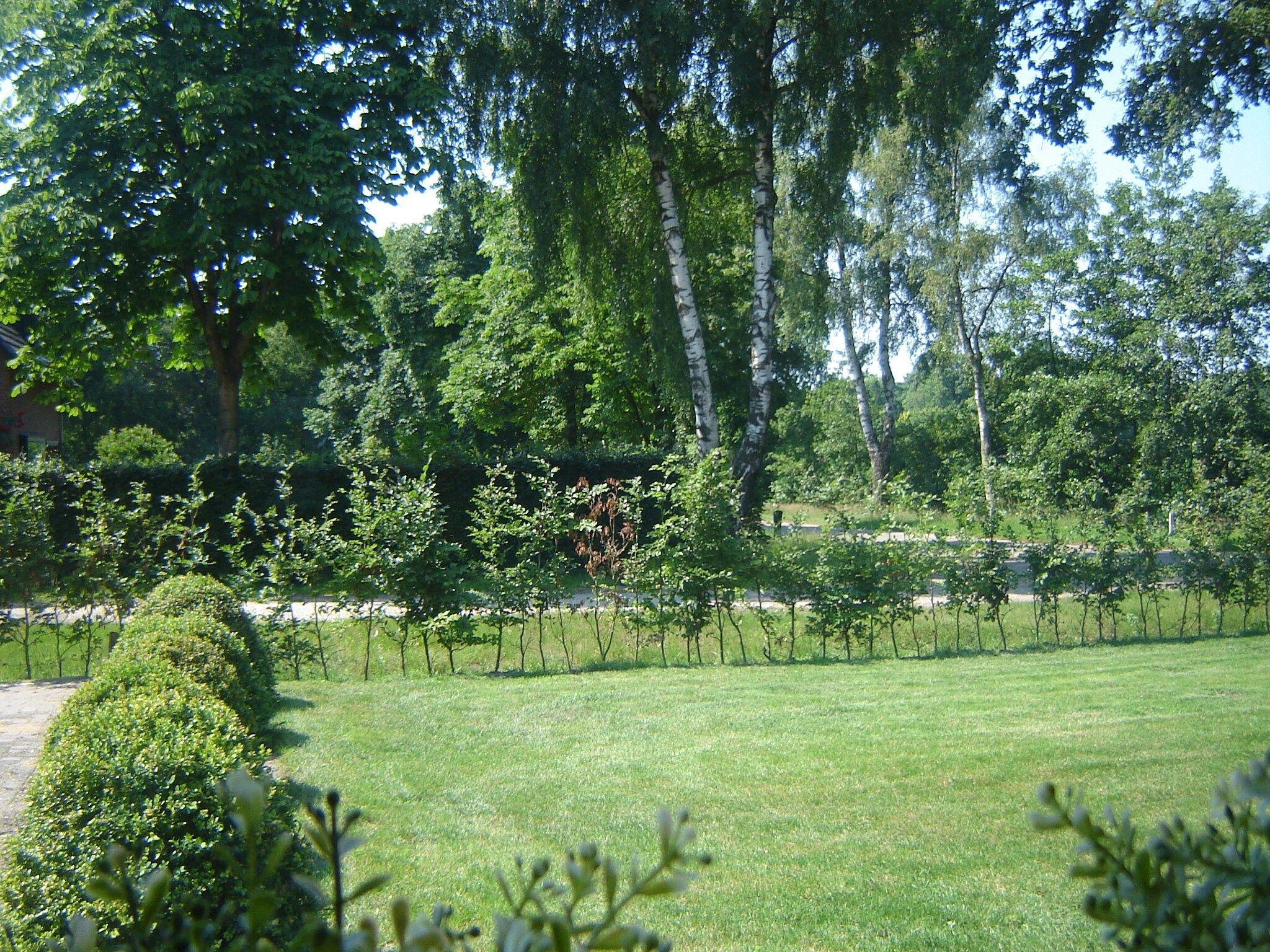 Het uitzicht vanaf de Lansert in Vessem