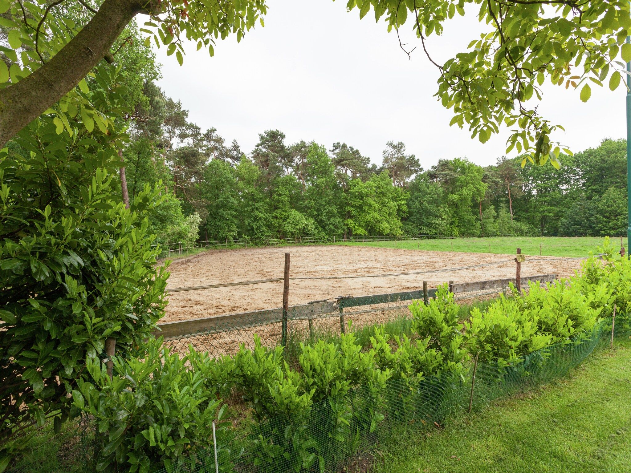 de Lansert in Vessem - Foto 43 van 52