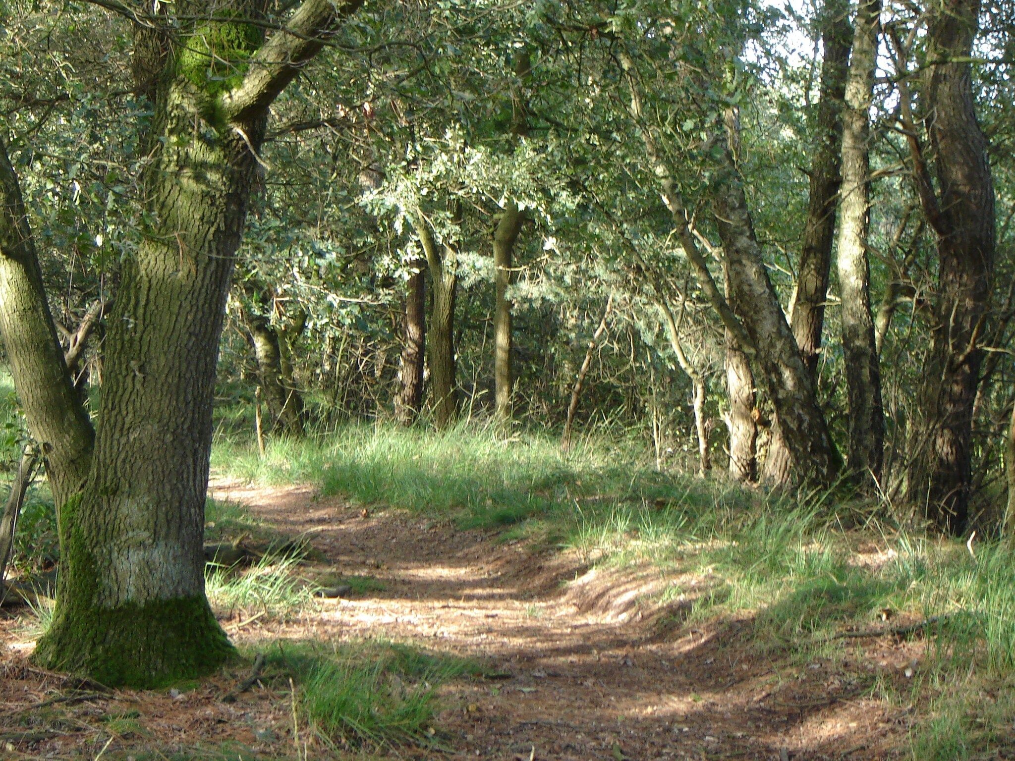 De omgeving van de Lansert in Vessem
