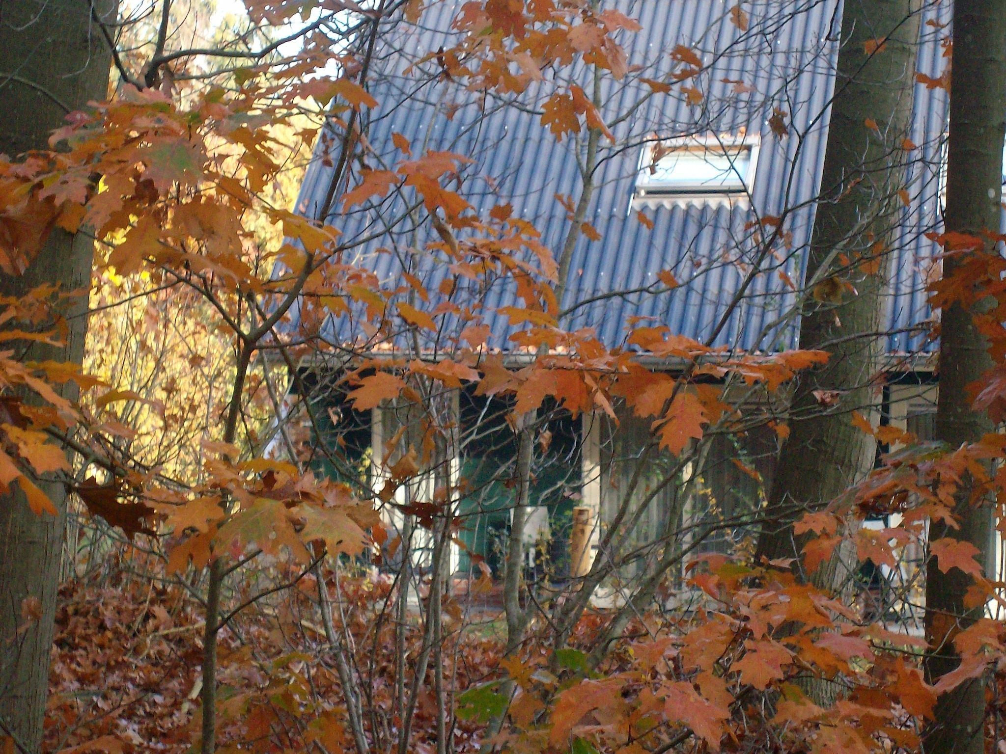 De buitenkant van Vakantiepark Horsetellerie 7 in Hardenberg (rheezerveen)