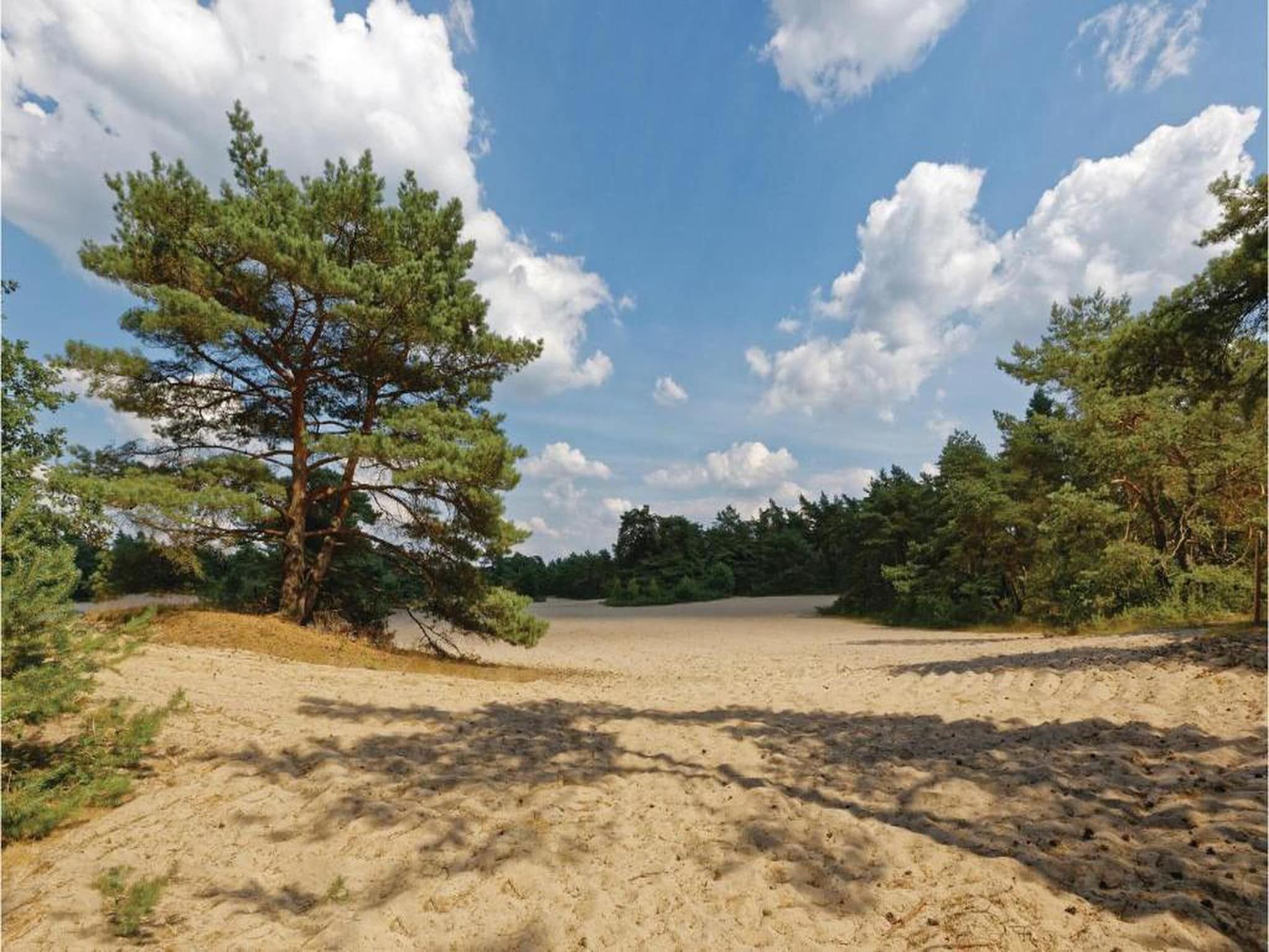 Vakantiepark Horsetellerie 7 in Hardenberg (rheezerveen) - Foto 29 van 41