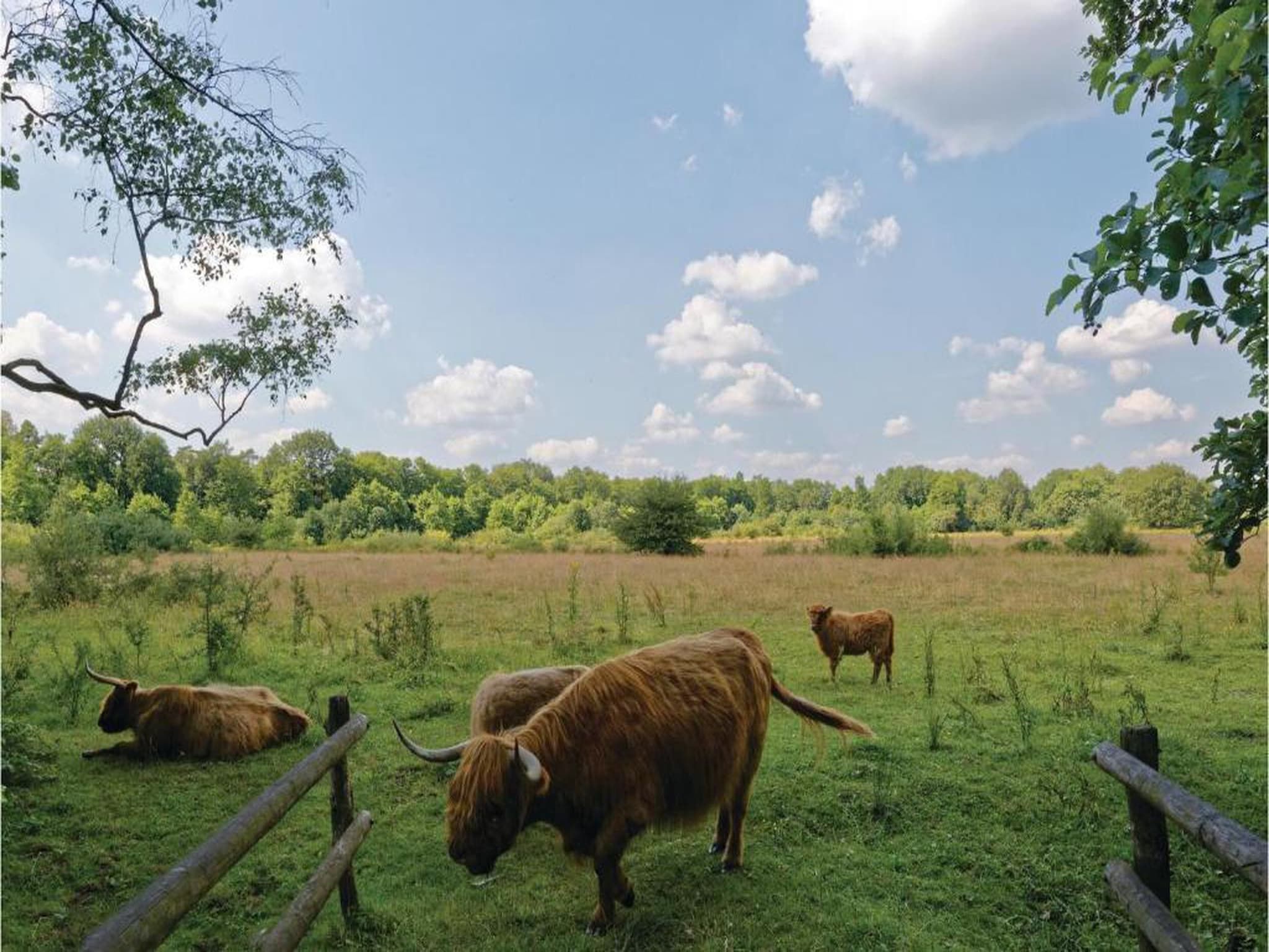 Vakantiepark Horsetellerie 7 in Hardenberg (rheezerveen) - Foto 28 van 41