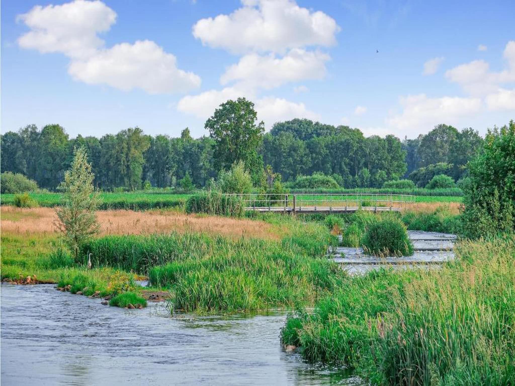 Vakantiepark Horsetellerie 7 in Hardenberg (rheezerveen) - Foto 30 van 41