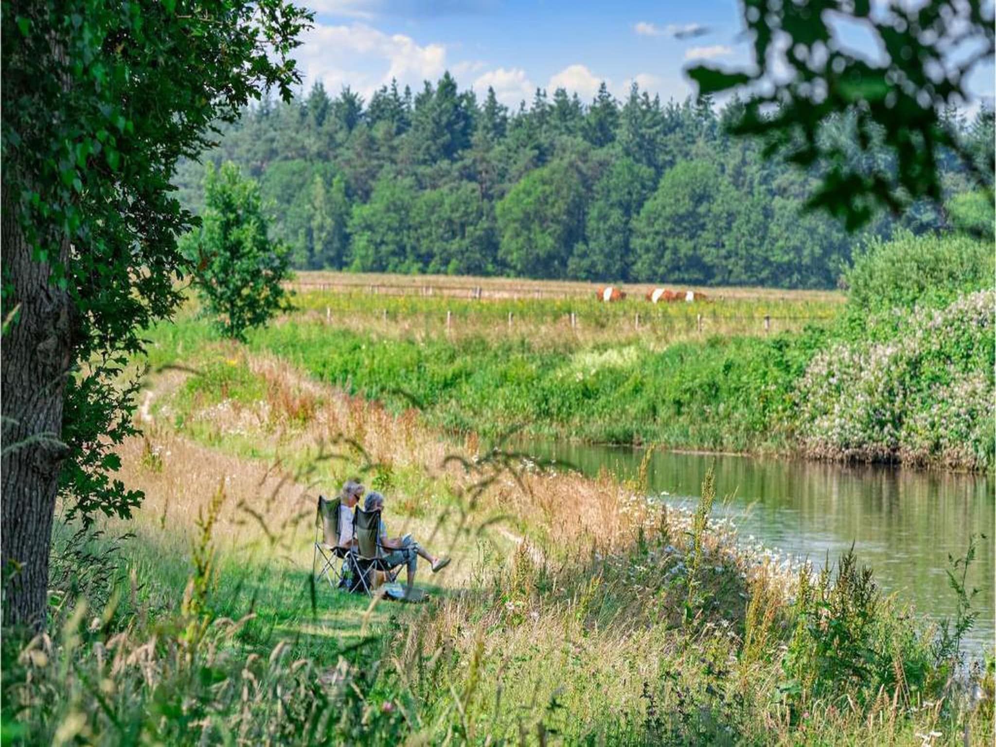 Vakantiepark Horsetellerie 7 in Hardenberg (rheezerveen) - Foto 33 van 41