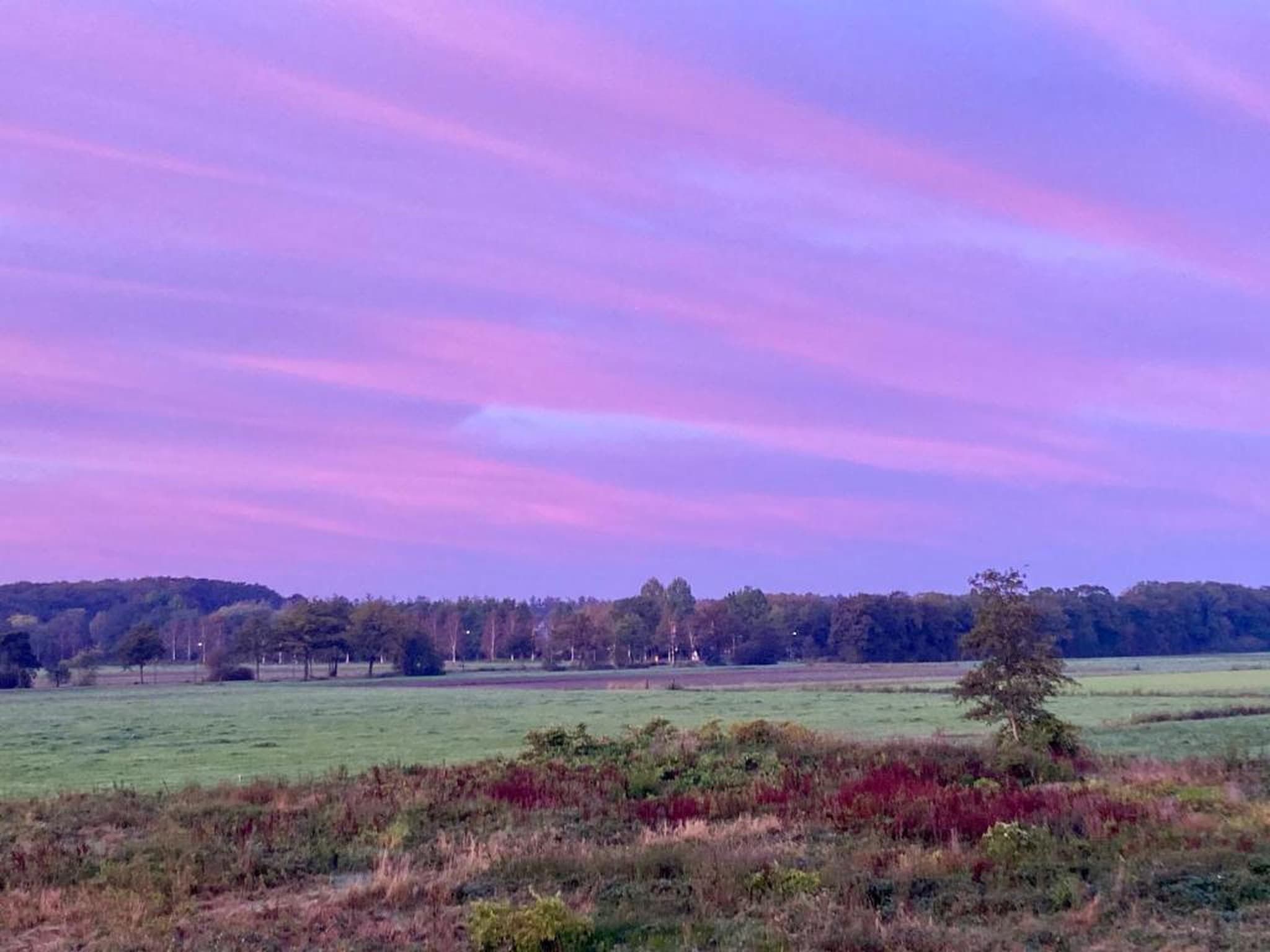 Vakantiepark Horsetellerie 7 in Hardenberg (rheezerveen) - Foto 39 van 41