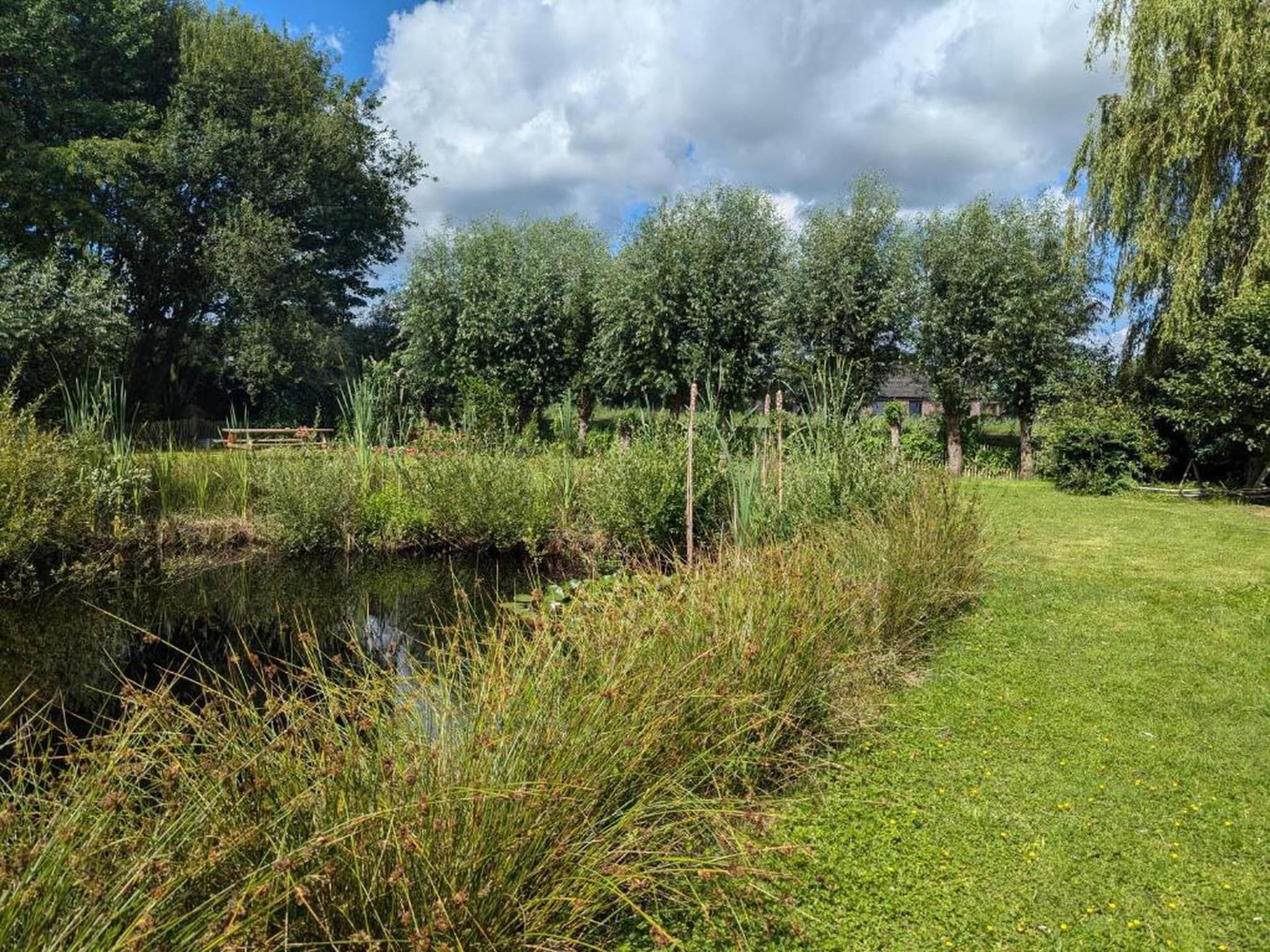 Vakantiepark Horsetellerie 7 in Hardenberg (rheezerveen) - Foto 24 van 41