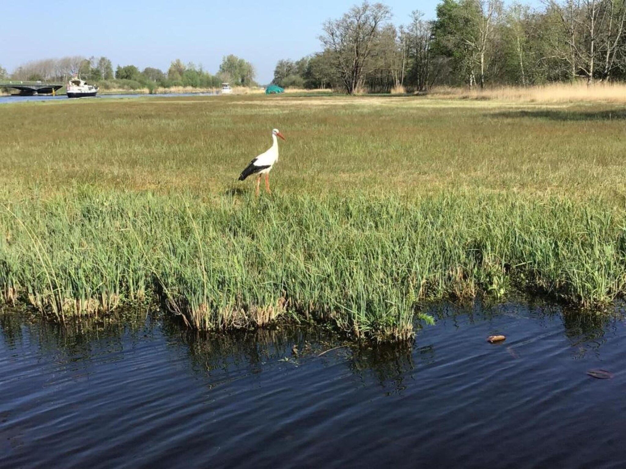 Waterpark Belterwiede 3 in Wanneperveen - Foto 38 van 40