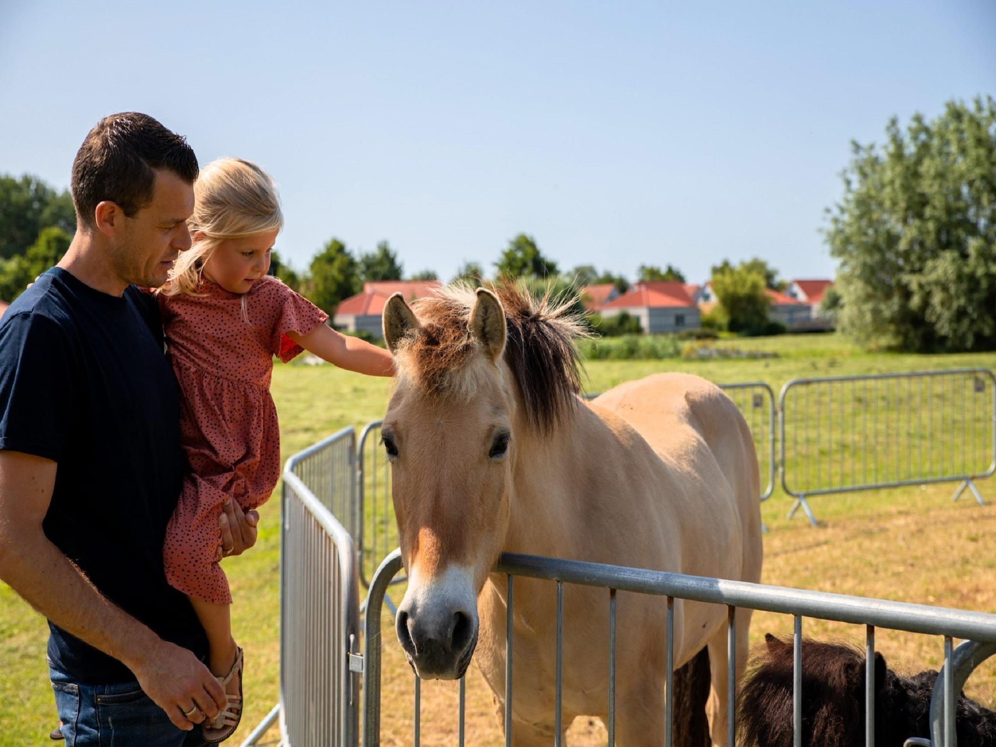 Parkfaciliteiten bij Villavakantiepark IJsselhof 5 in Andijk