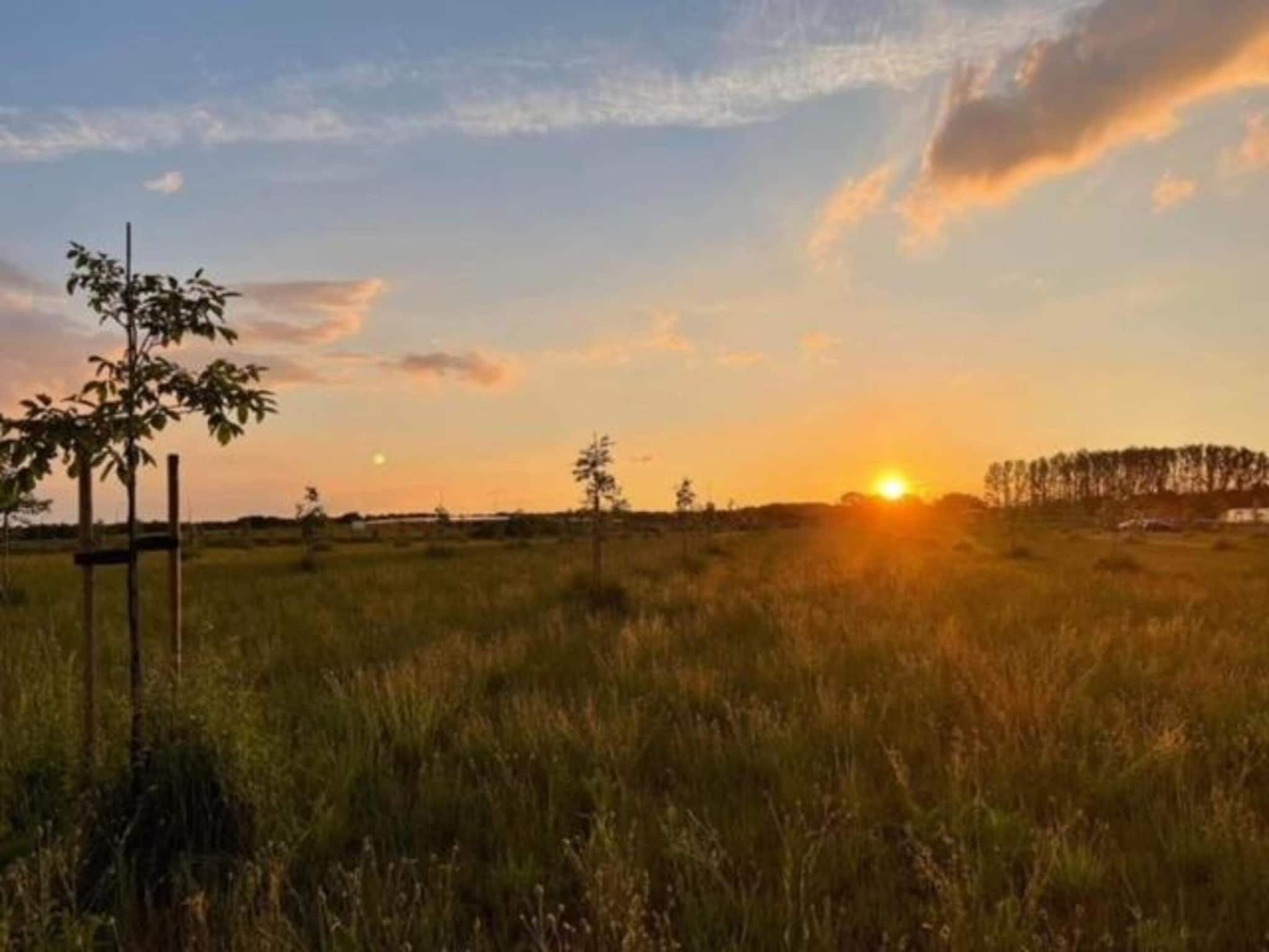 Het Schafthuis in Valkenswaard - Foto 35 van 40