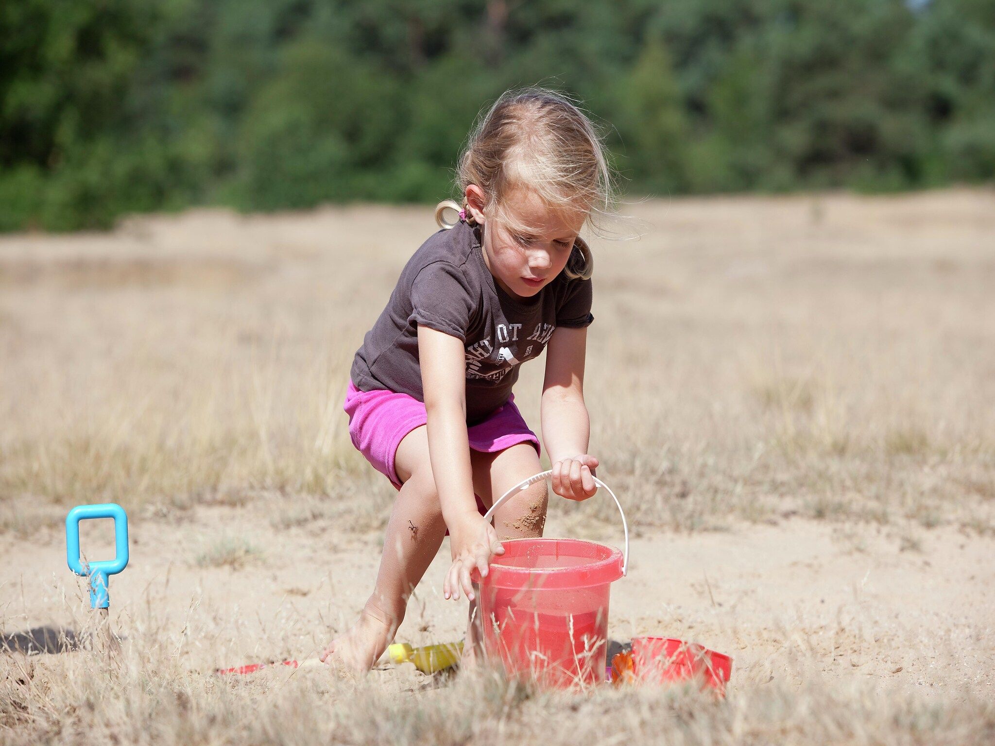 De omgeving van Vakantiepark de Berkenhorst 8 in Kootwijk