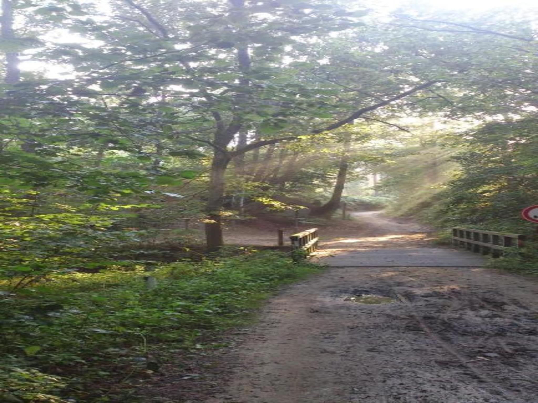 Buitenhof De Leistert 18 in Roggel - Foto 30 van 40