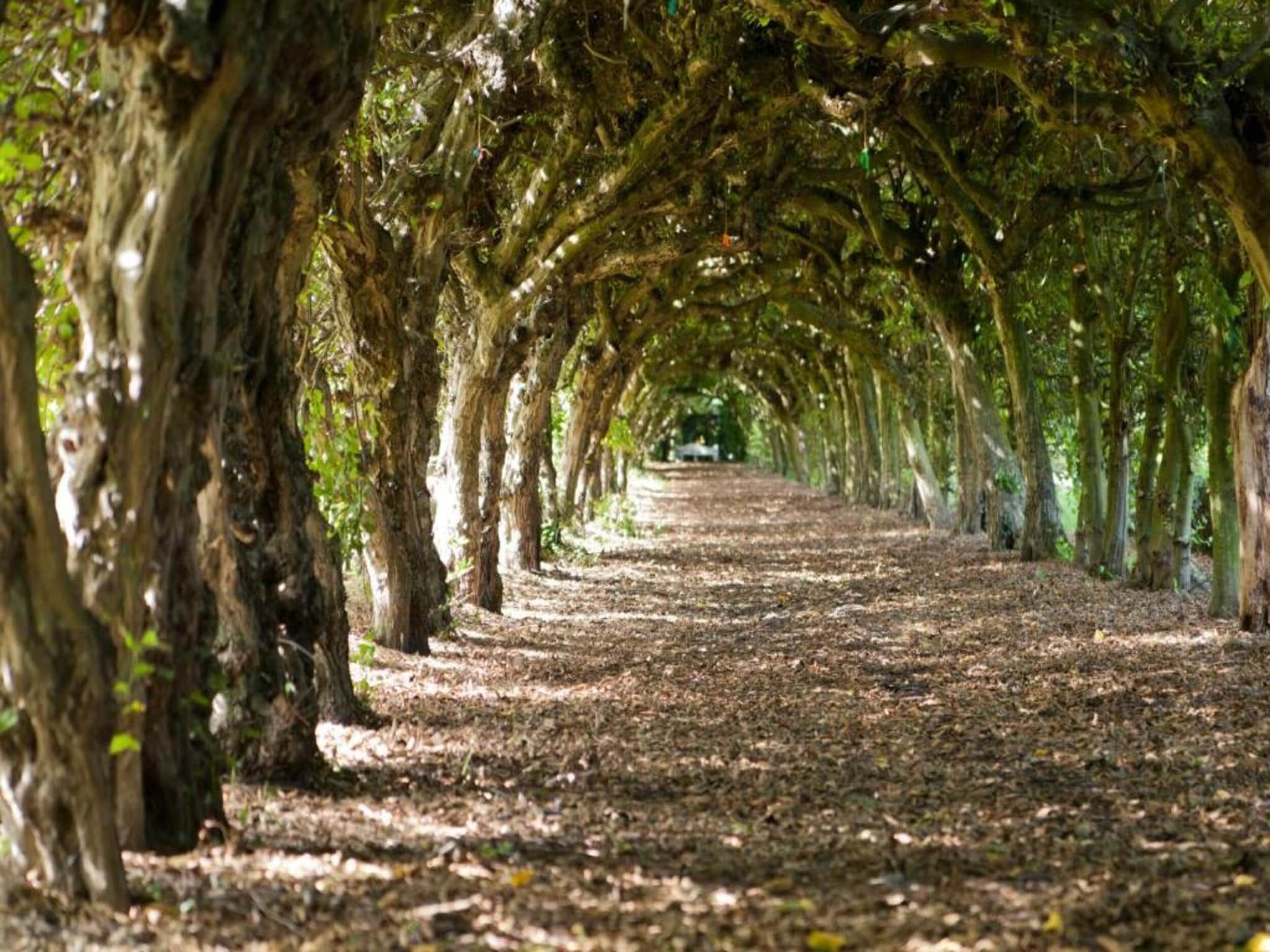 Buitenhof De Leistert 18 in Roggel - Foto 29 van 40