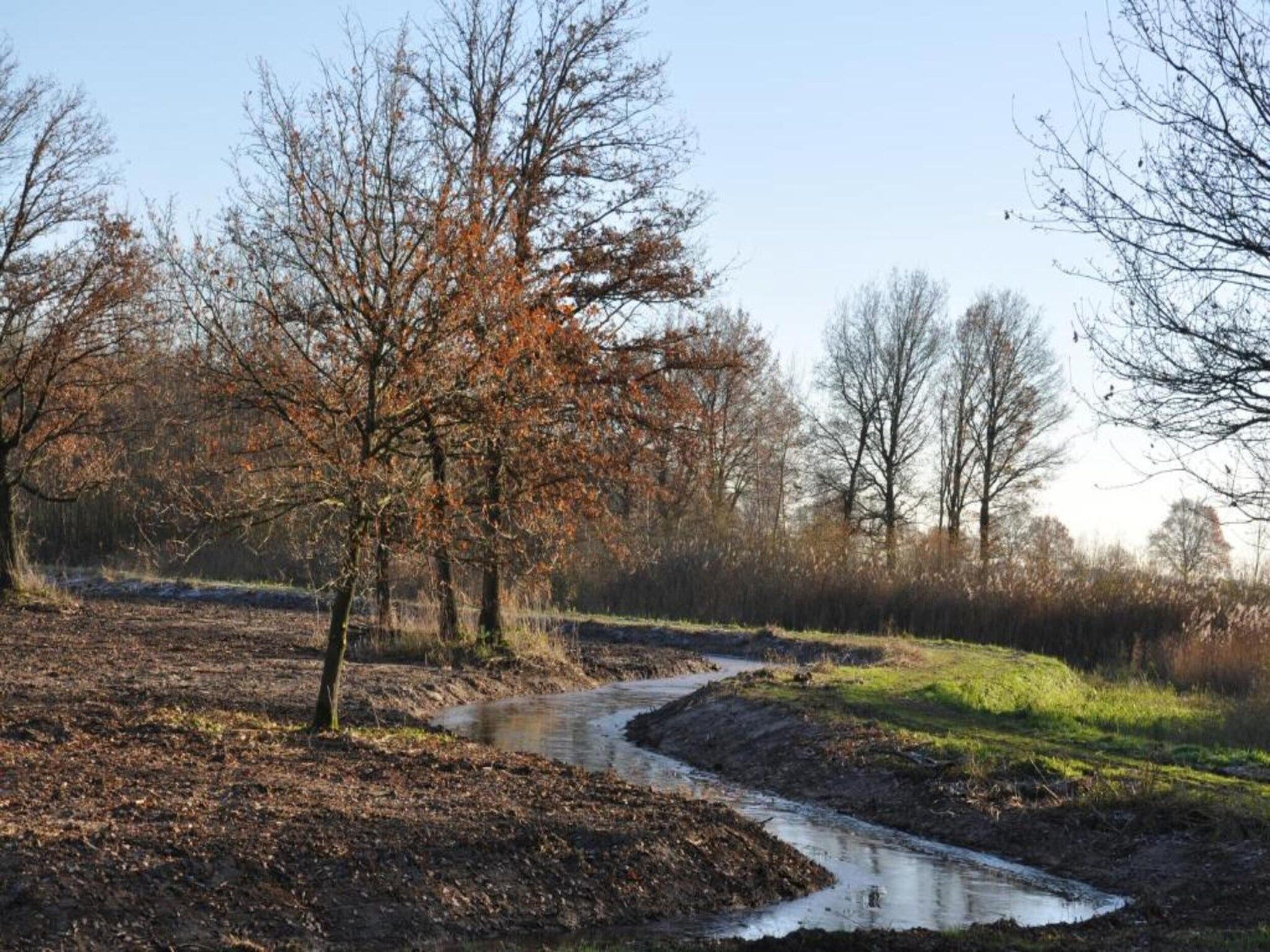 Buitenhof De Leistert 18 in Roggel - Foto 33 van 40