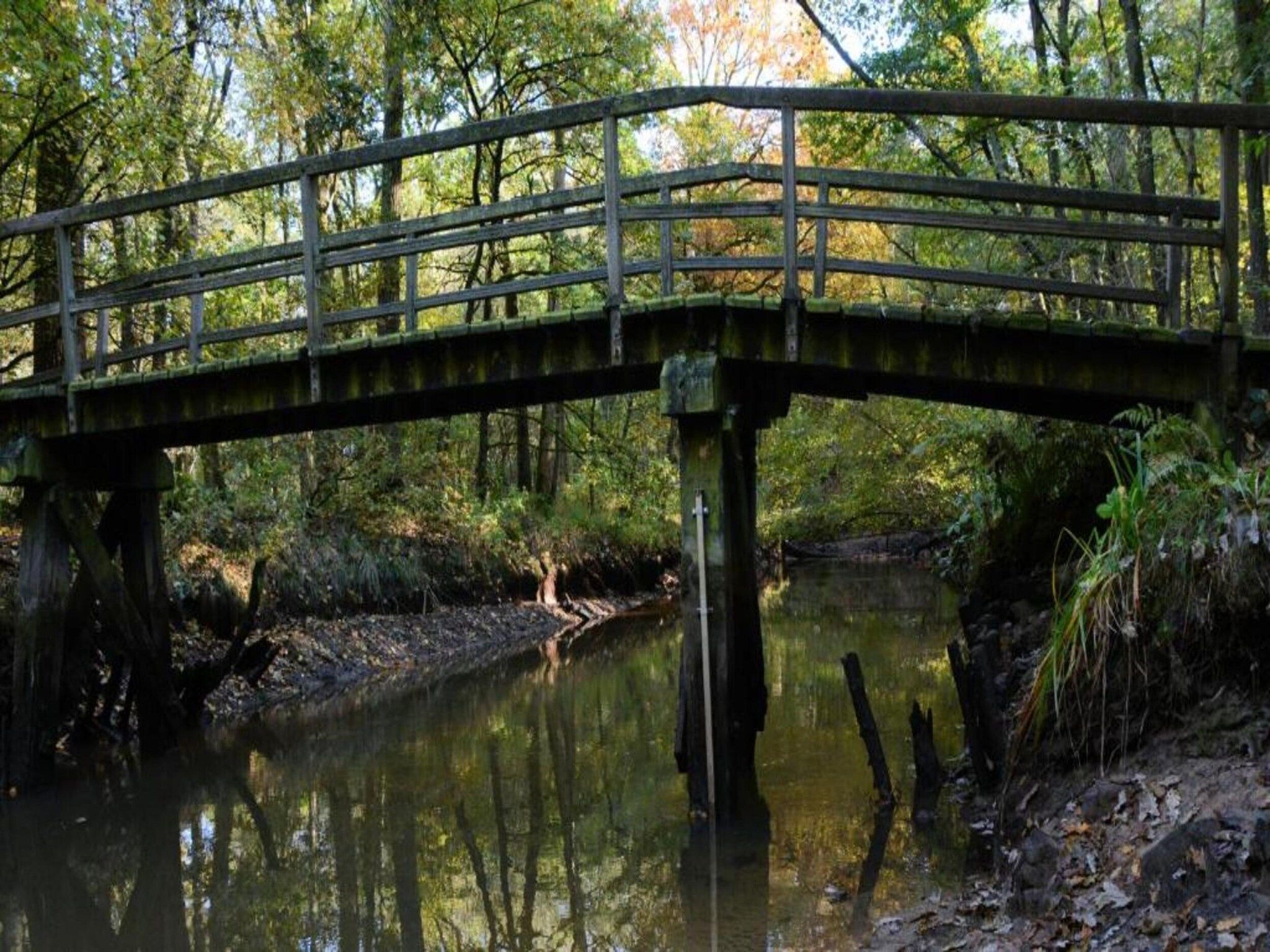 Buitenhof De Leistert 18 in Roggel - Foto 31 van 40