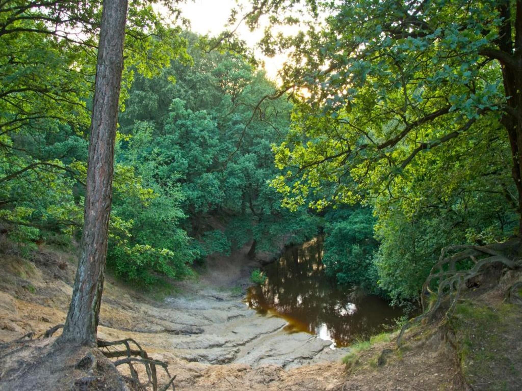Buitenhof De Leistert 18 in Roggel - Foto 36 van 40