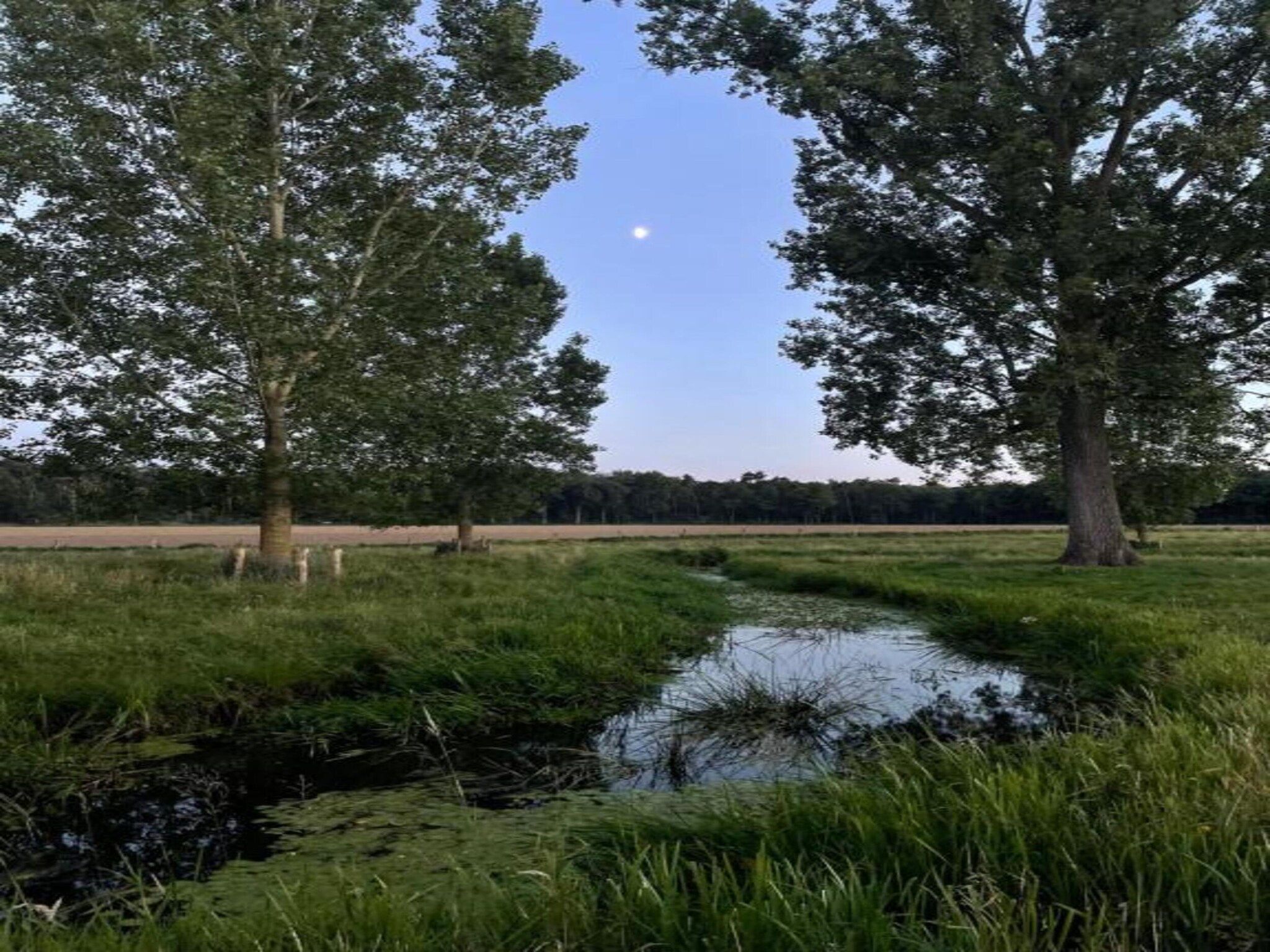 Buitenhof De Leistert 18 in Roggel - Foto 40 van 40