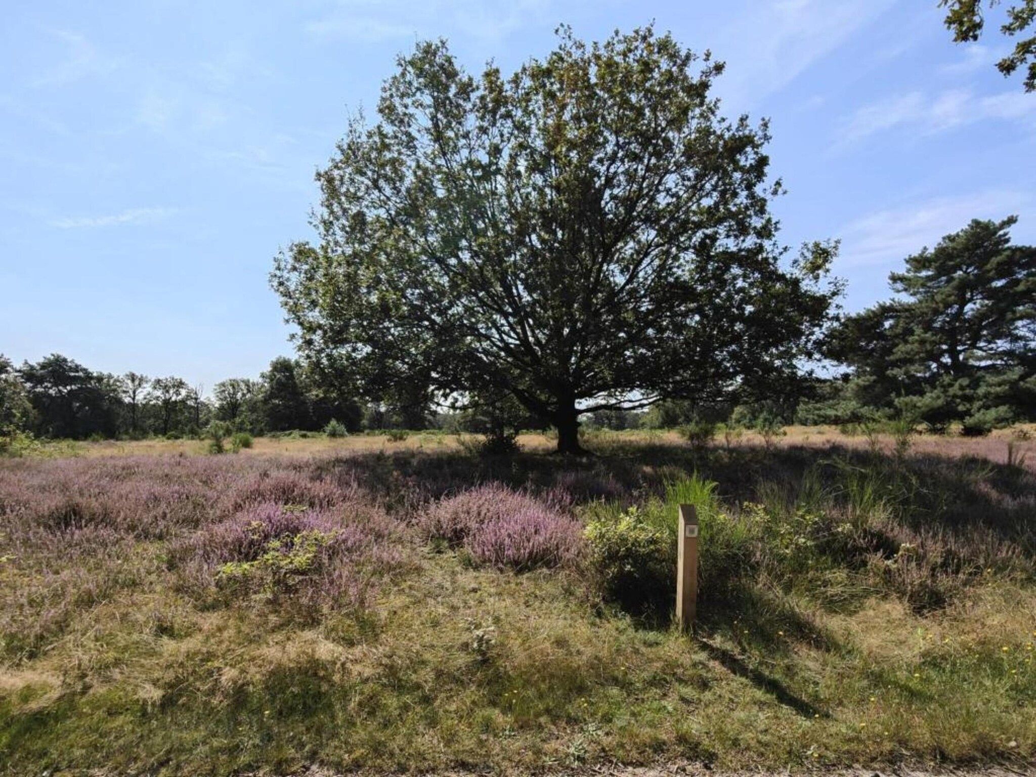 Buitenhof De Leistert 18 in Roggel - Foto 37 van 40