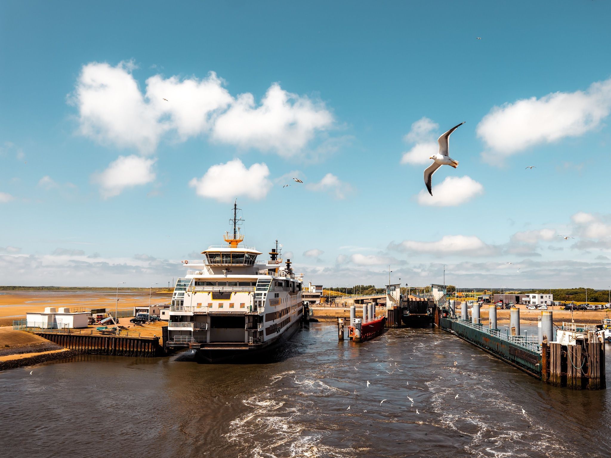 Bosch en Zee 4 in De Koog Texel - Foto 24 van 38