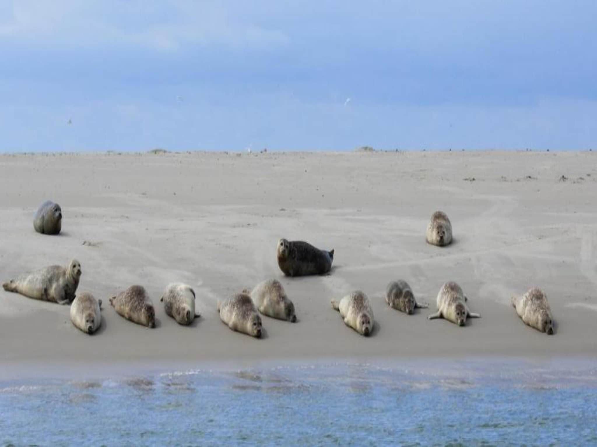 Bosch en Zee 4 in De Koog Texel - Foto 36 van 38