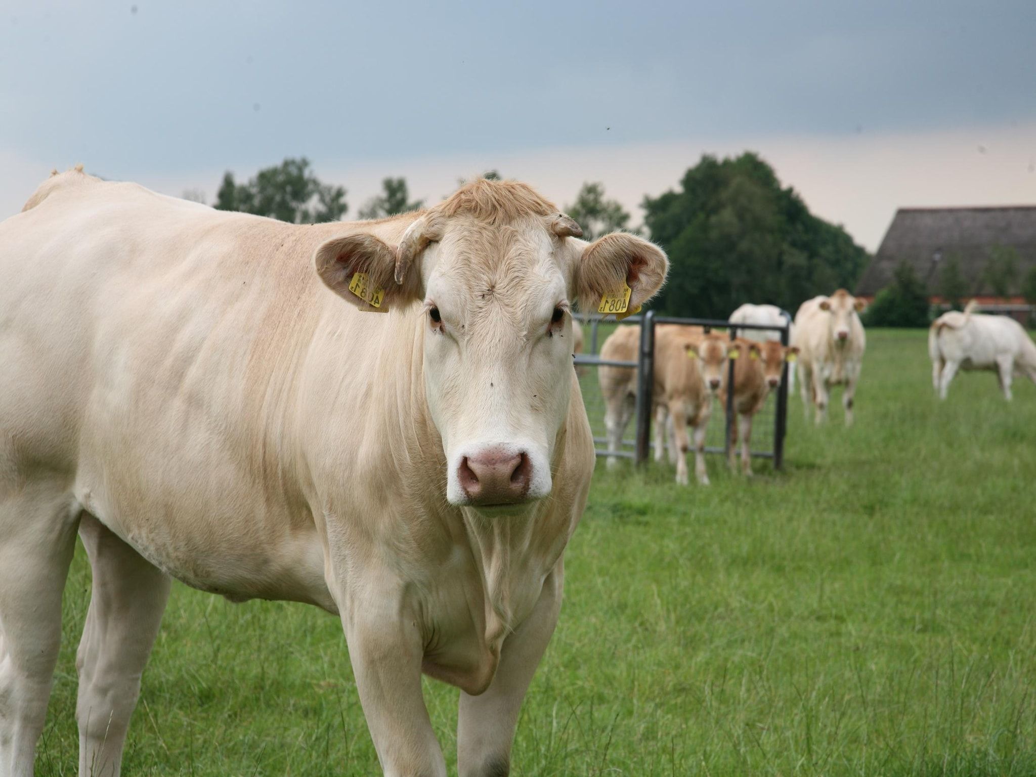 De omgeving van Marke van Ruinen 2 in Ruinen