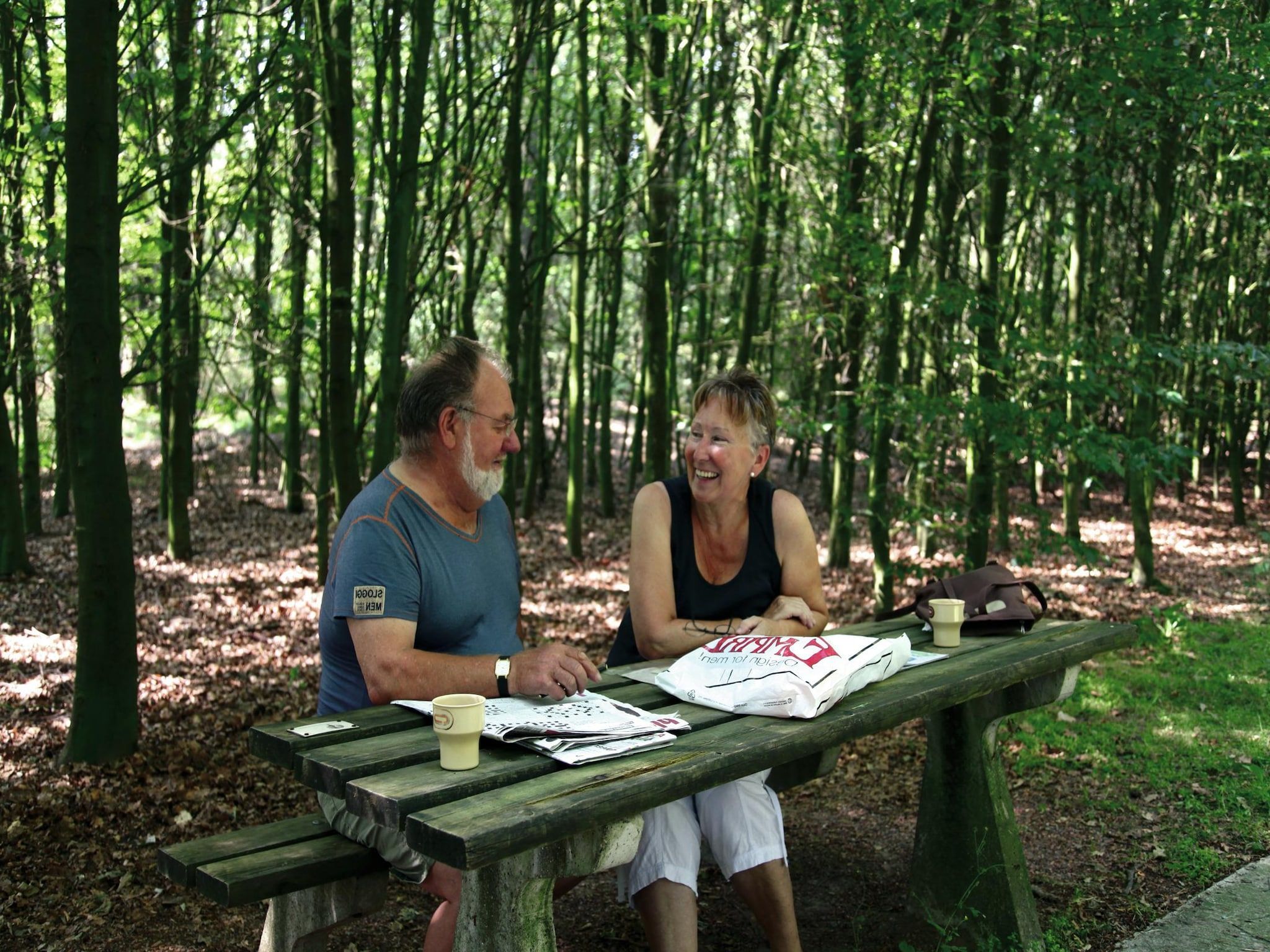 De omgeving van Marke van Ruinen 2 in Ruinen