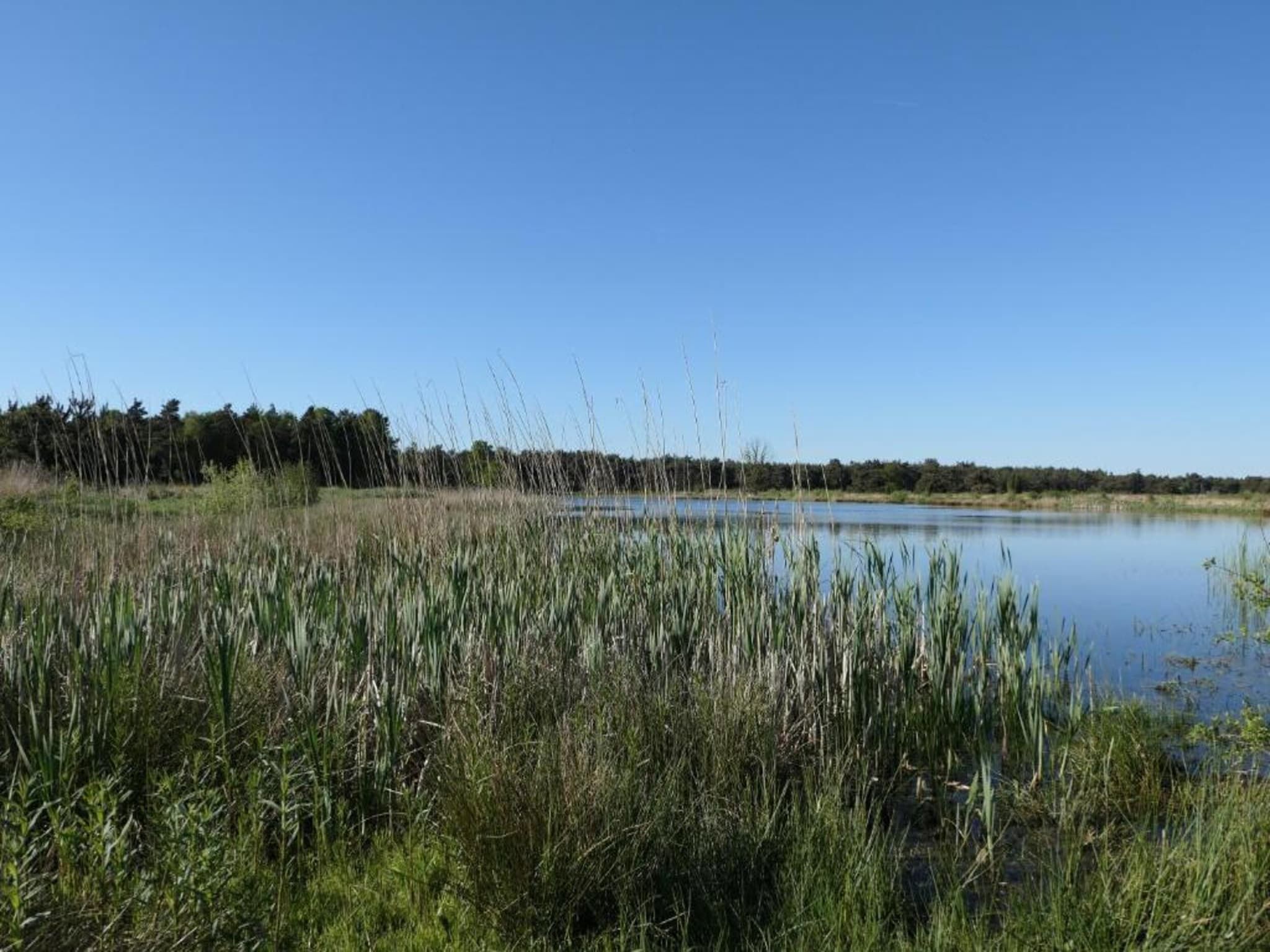 De omgeving van Recreatiepark Tolplas 1 in Hoge Hexel