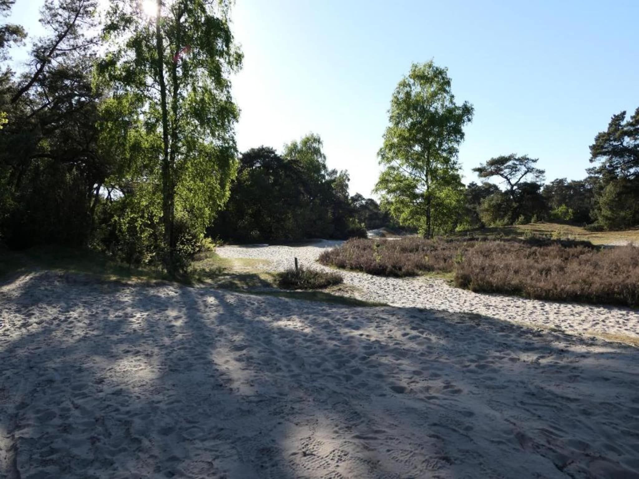 De omgeving van Recreatiepark Tolplas 1 in Hoge Hexel