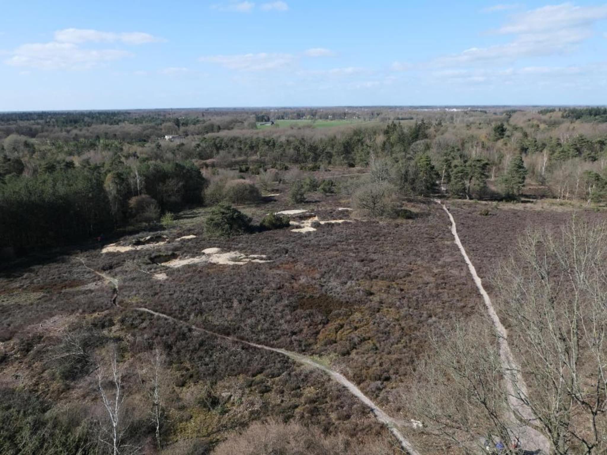 De omgeving van Recreatiepark Tolplas 1 in Hoge Hexel