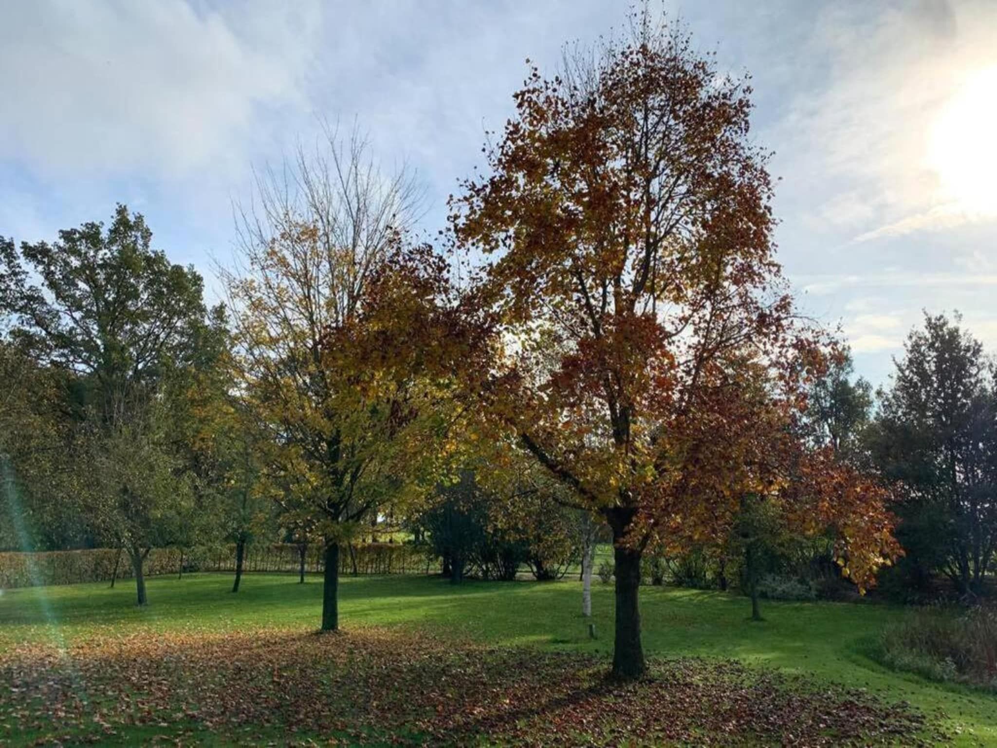 De omgeving van Recreatiepark Tolplas 1 in Hoge Hexel