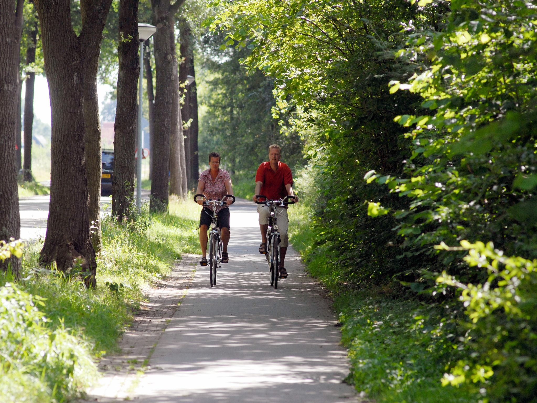 De omgeving van Het Drentse Wold 2 in Hoogersmilde