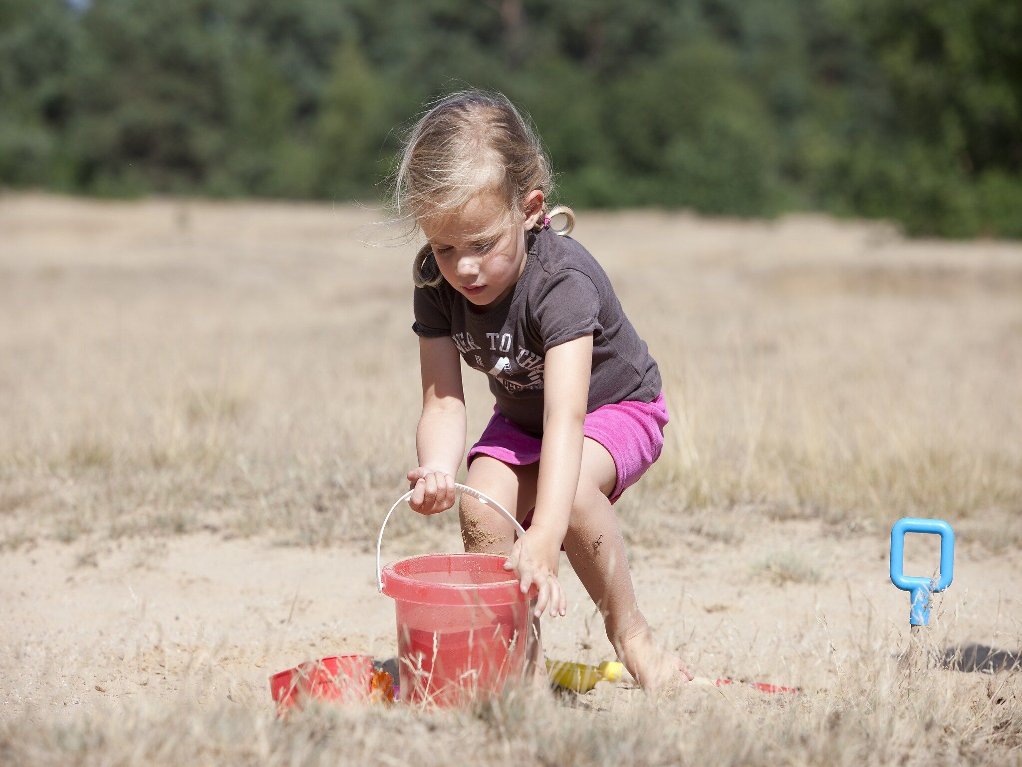 Vakantiepark de Berkenhorst 4 in Kootwijk - Foto 10 van 13