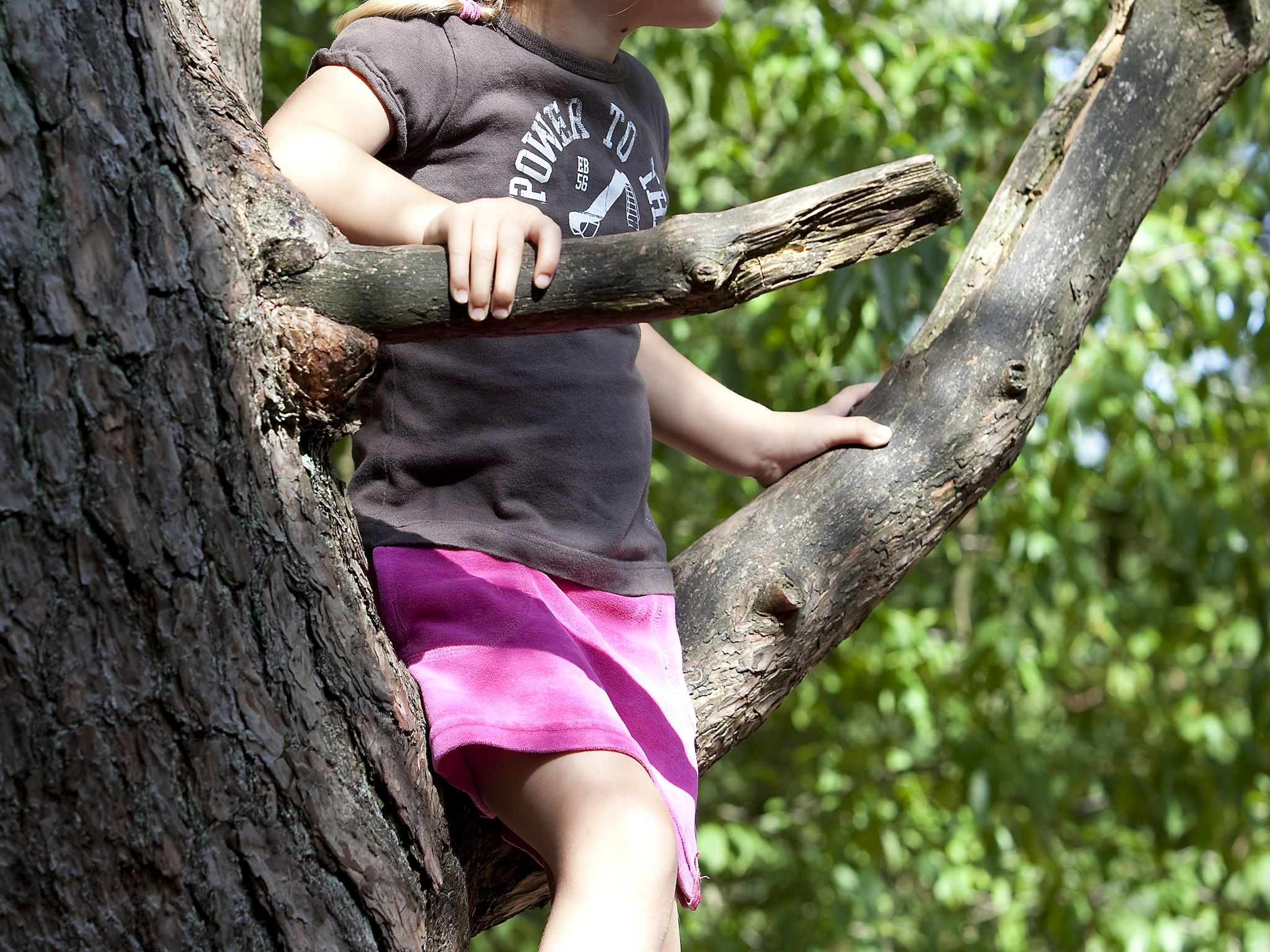 Vakantiepark de Berkenhorst 4 in Kootwijk - Foto 9 van 13