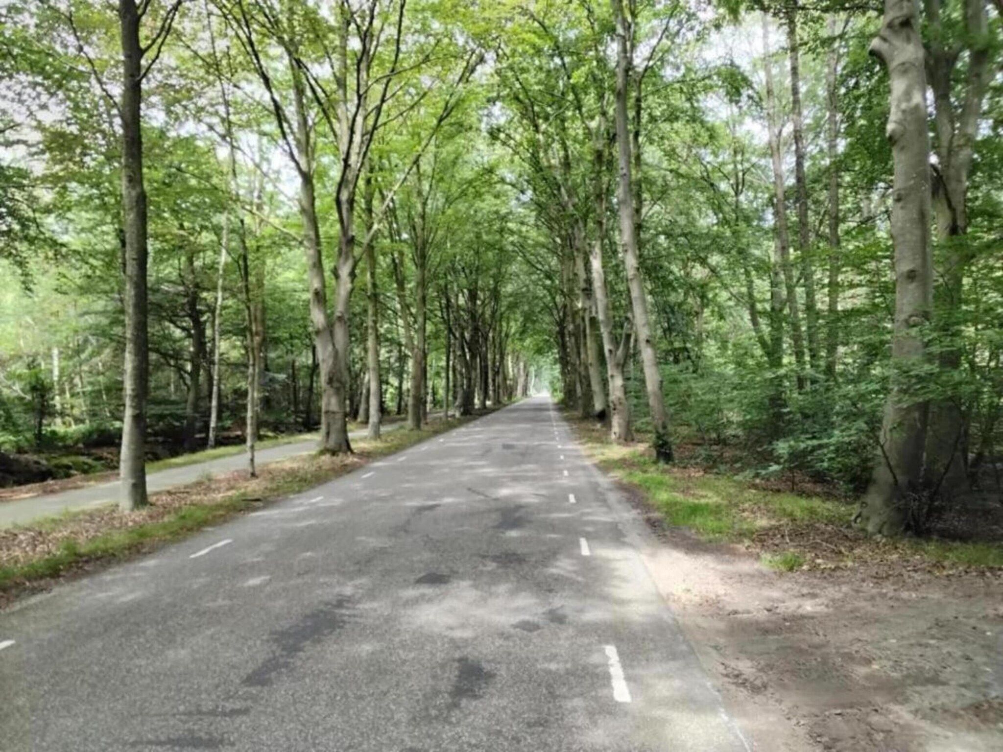 De omgeving van Lyts Sypenstien in Langweer