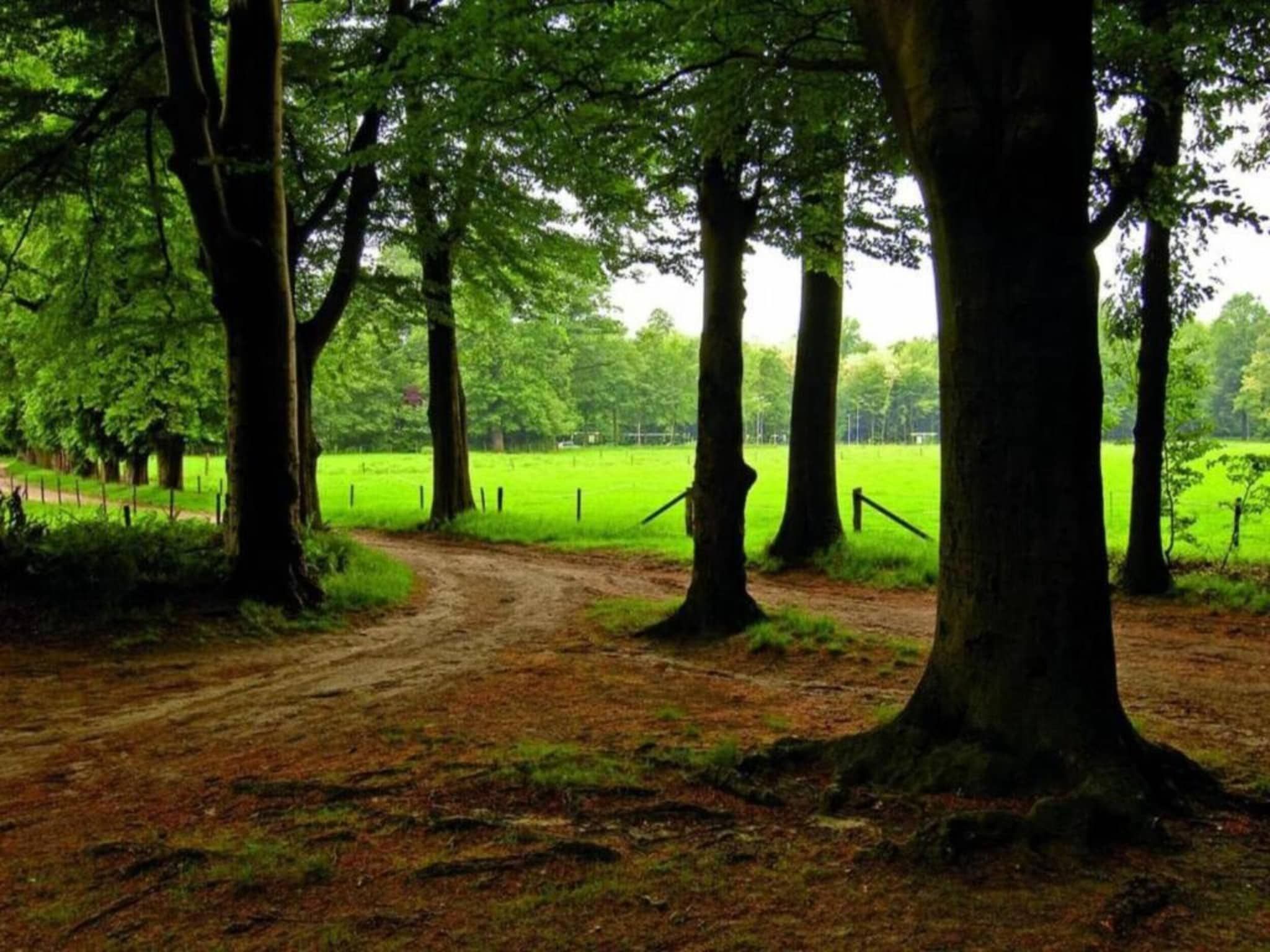 De omgeving van Lyts Sypenstien in Langweer