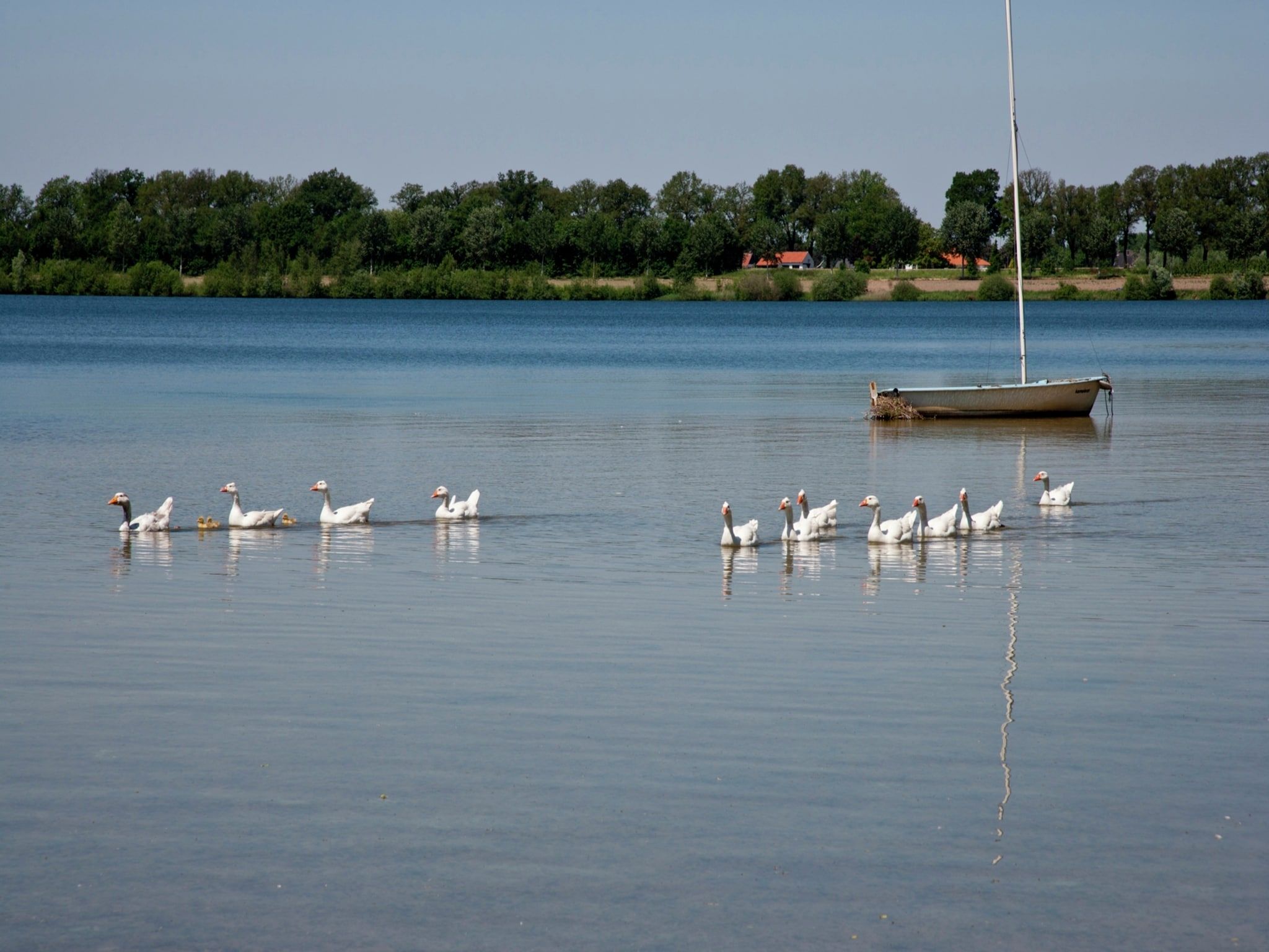 Waterwoning 2-6 persoons in Heel - Foto 24 van 37