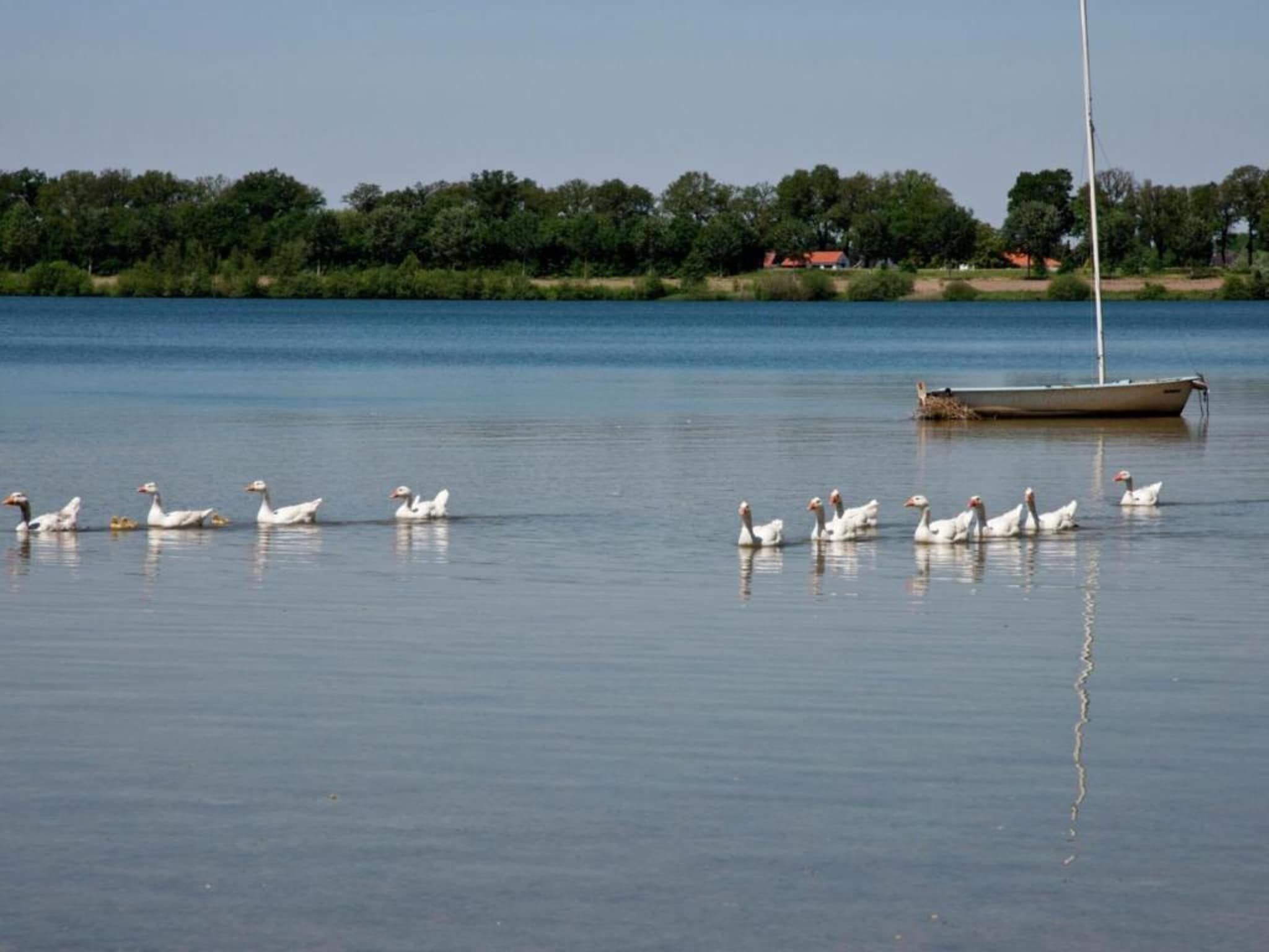 Venwoning 2-6 persoons in Heel - Foto 31 van 38