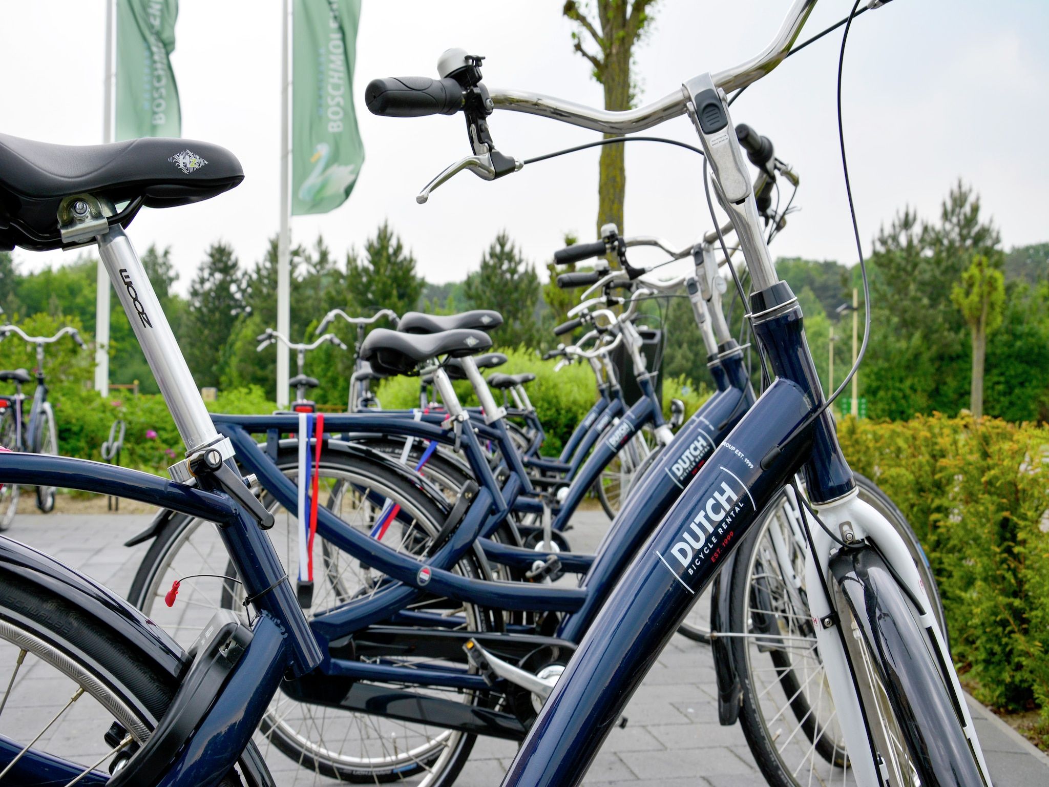 Parkfaciliteiten bij Tuinvilla 2-4 persoons in Heel