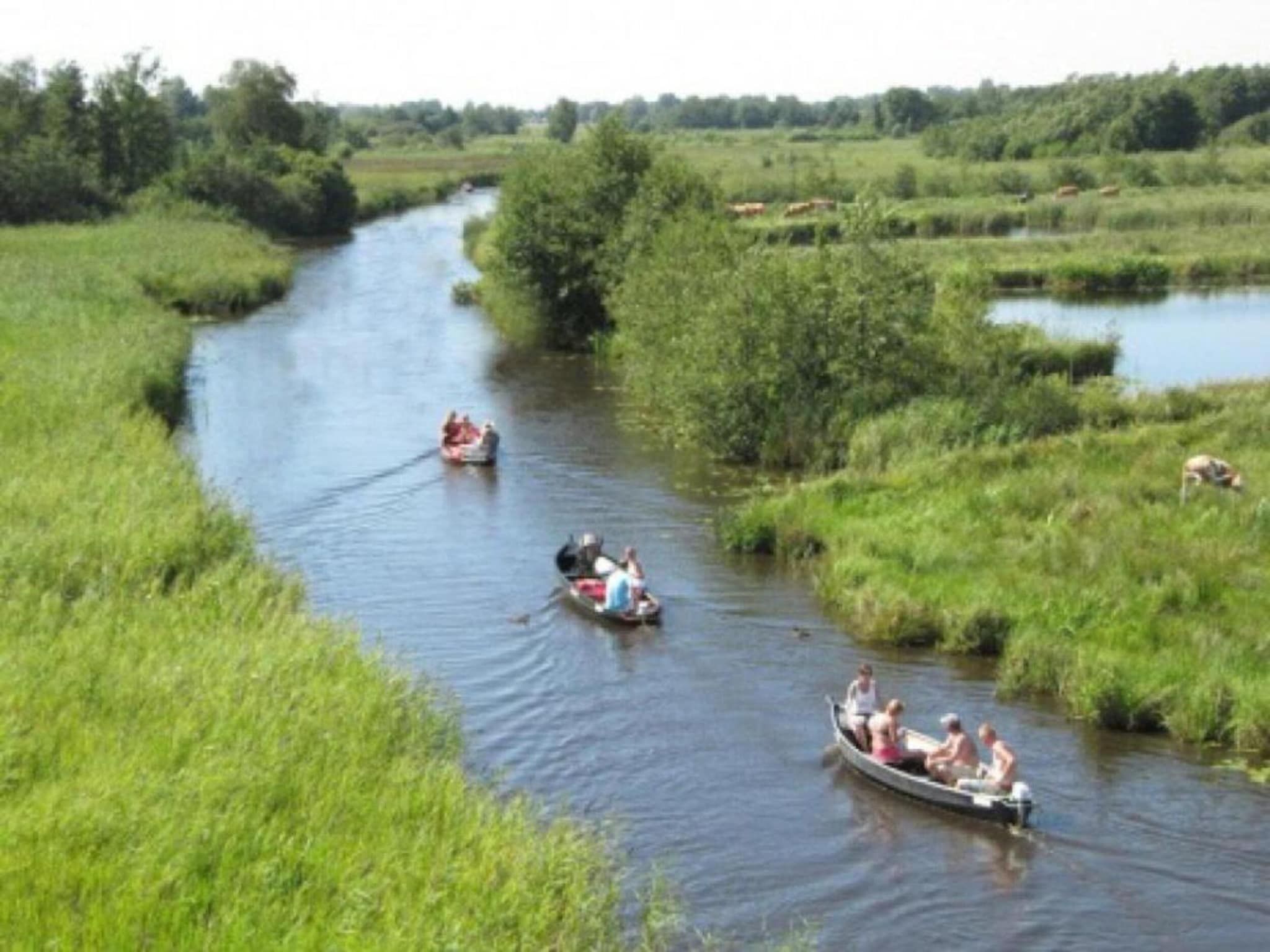 De omgeving van Villapark De Weerribben 2 in Paasloo