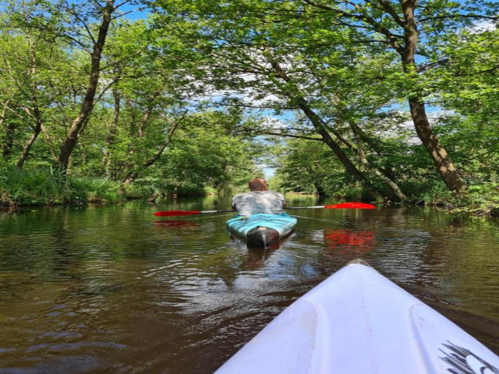 De omgeving van Villapark De Weerribben 2 in Paasloo