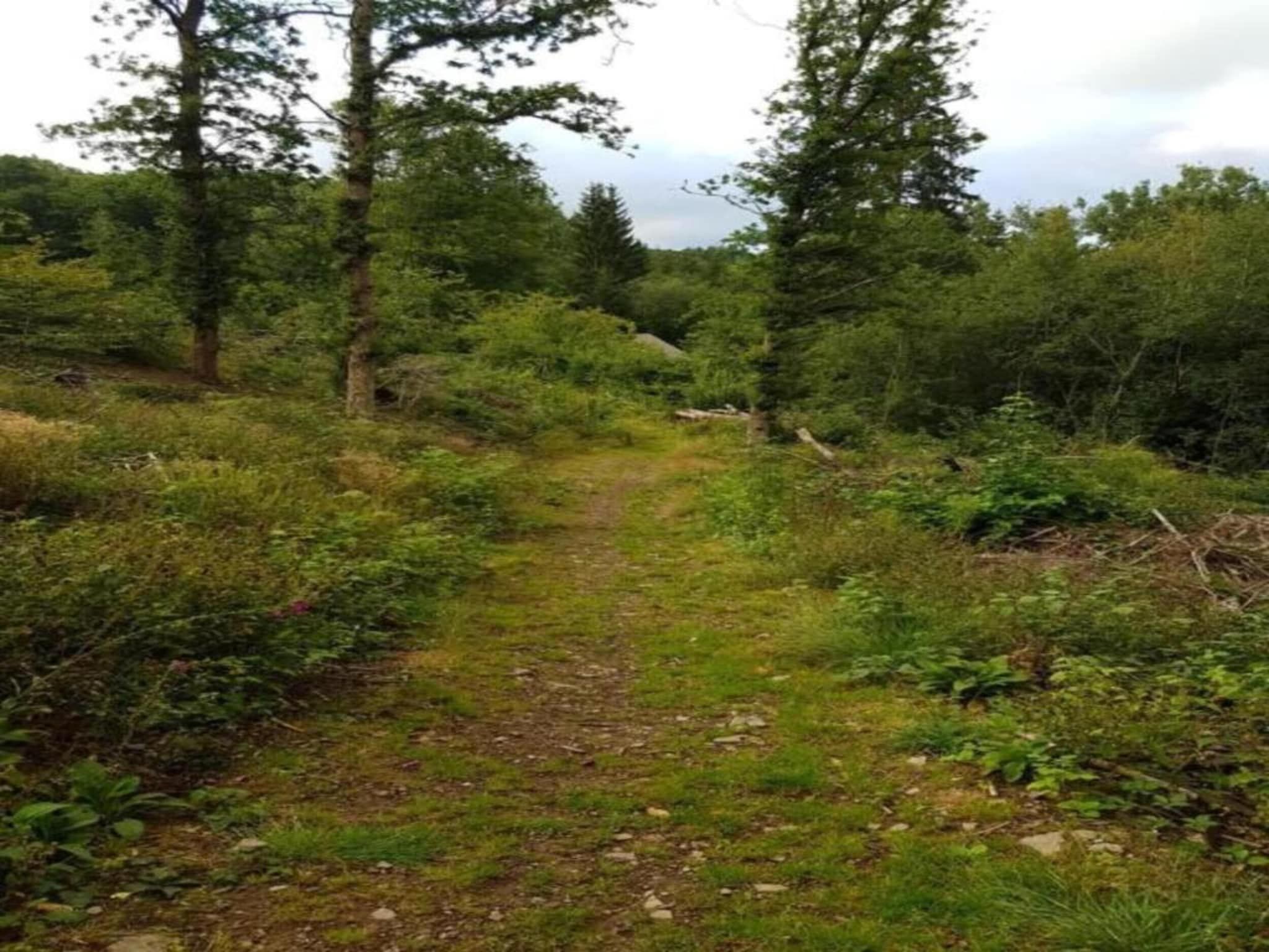 De omgeving van Villapark De Weerribben 2 in Paasloo