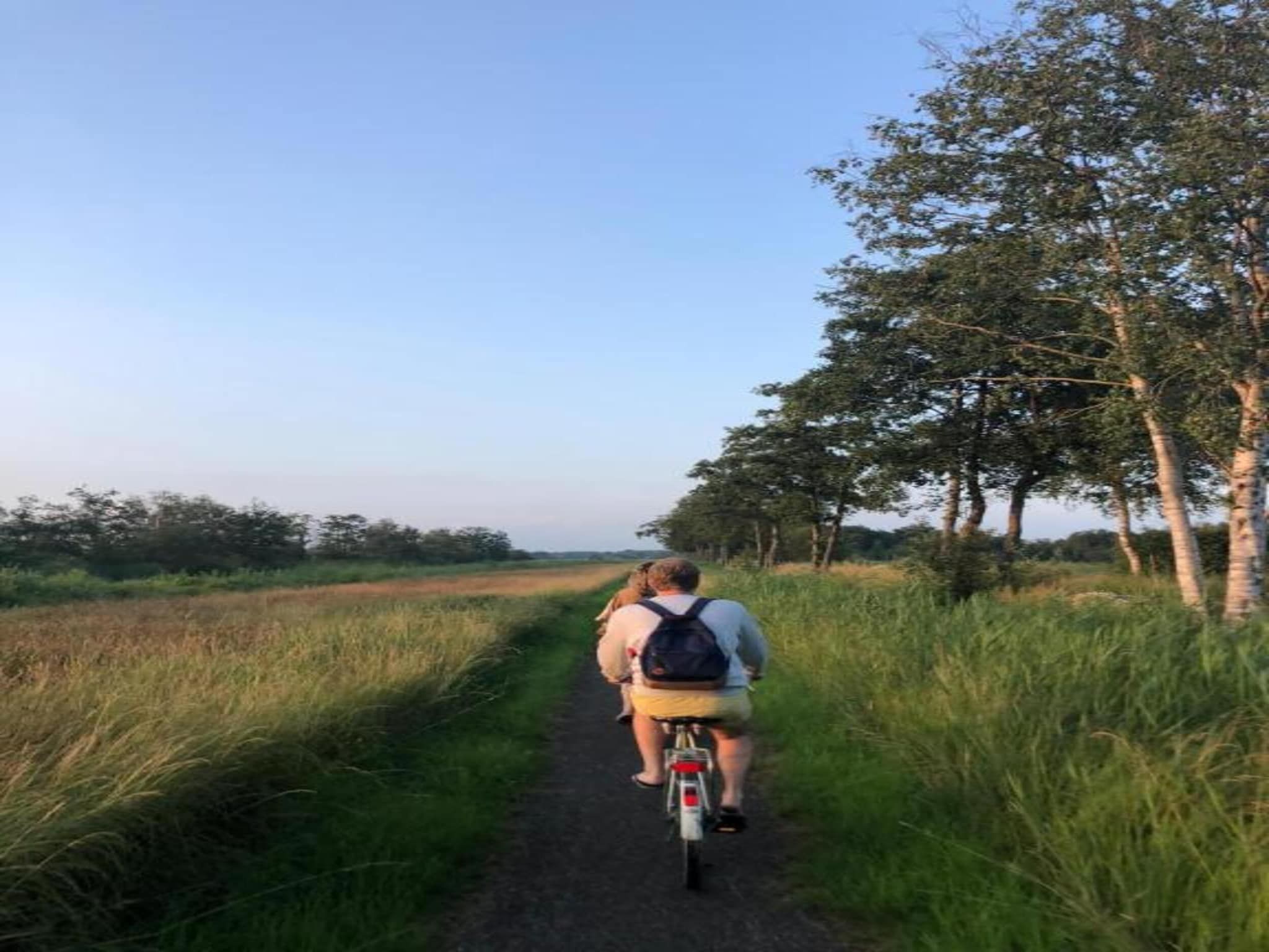 De omgeving van Villapark De Weerribben 1 in Paasloo