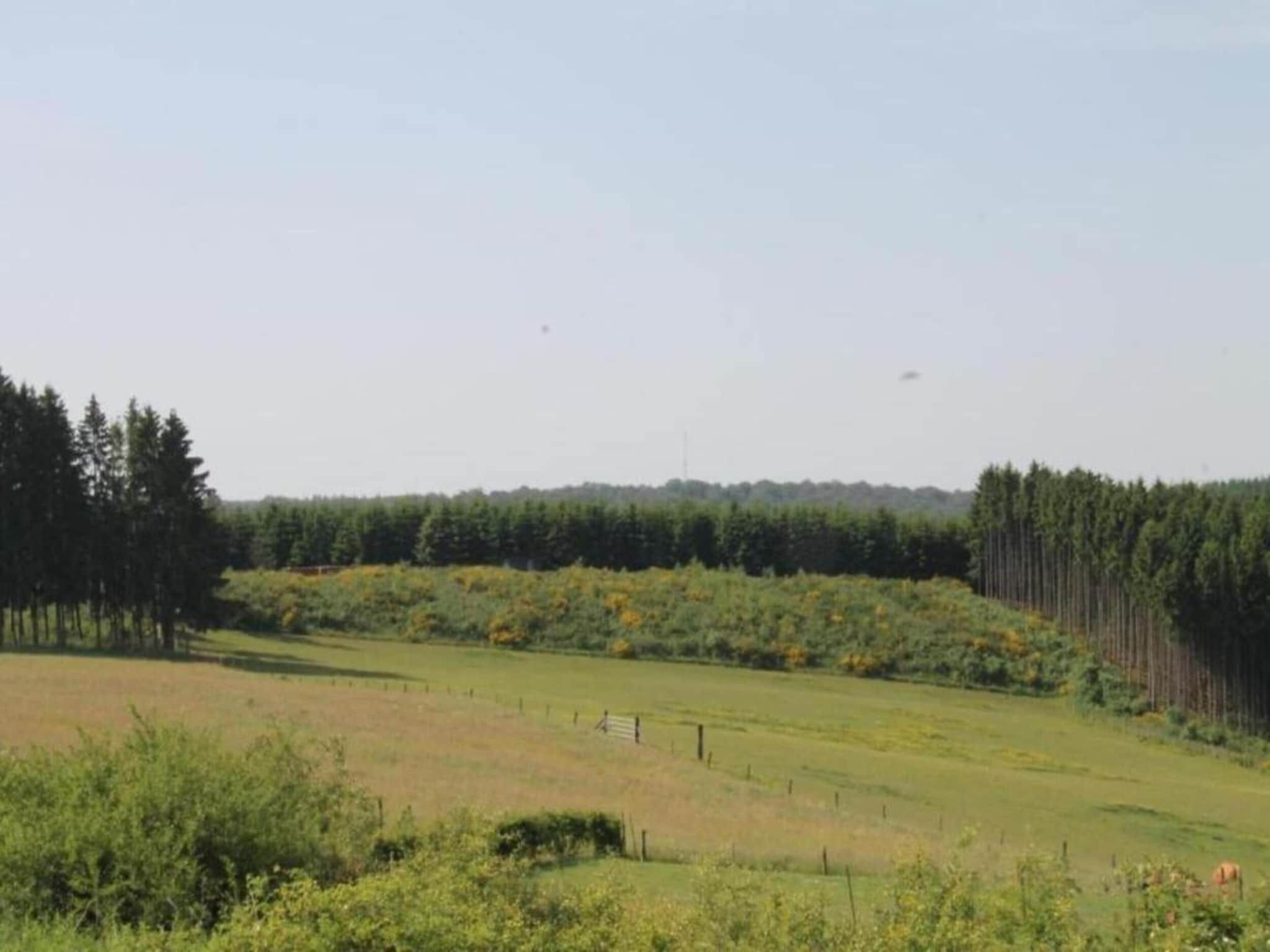 De omgeving van Villapark De Weerribben 1 in Paasloo