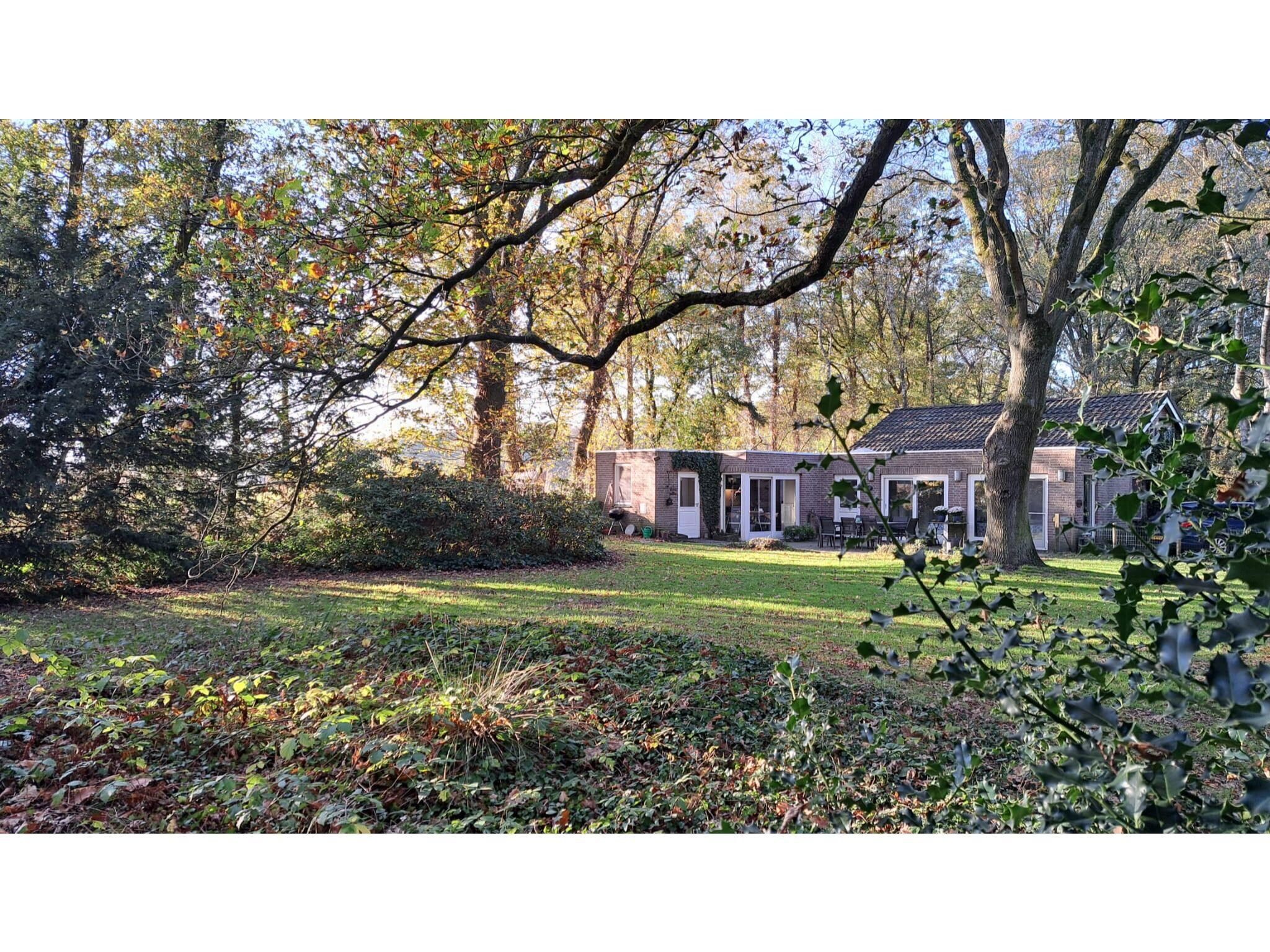 De tuin van Vier Vogelenzang in Vessem