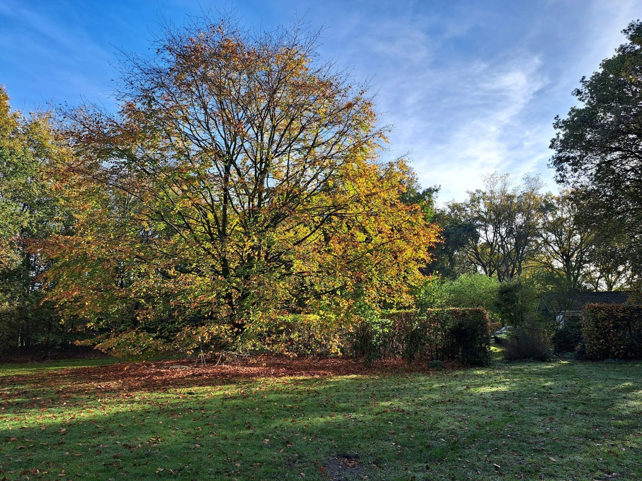 De tuin van Vier Vogelenzang in Vessem