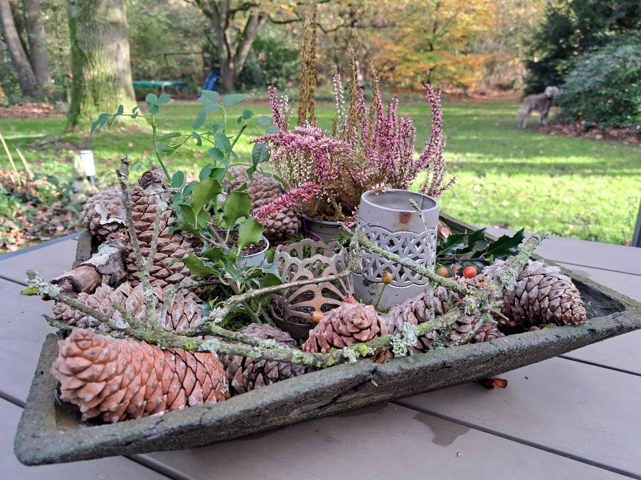 Sfeerbeeld van Vier Vogelenzang in Vessem